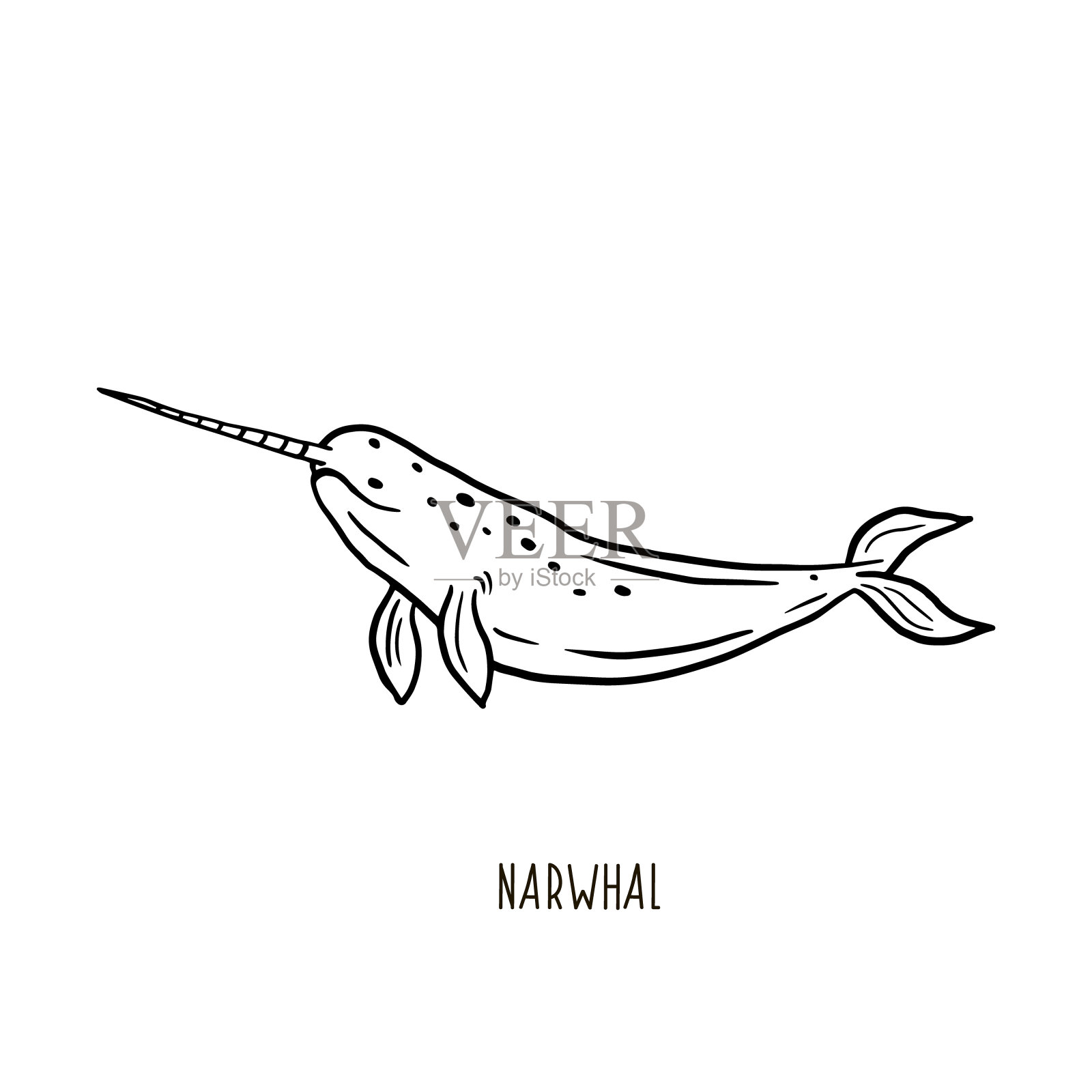 独角鲸.矢量线性画的独角鲸.手绘插图涂鸦风格.动物图案