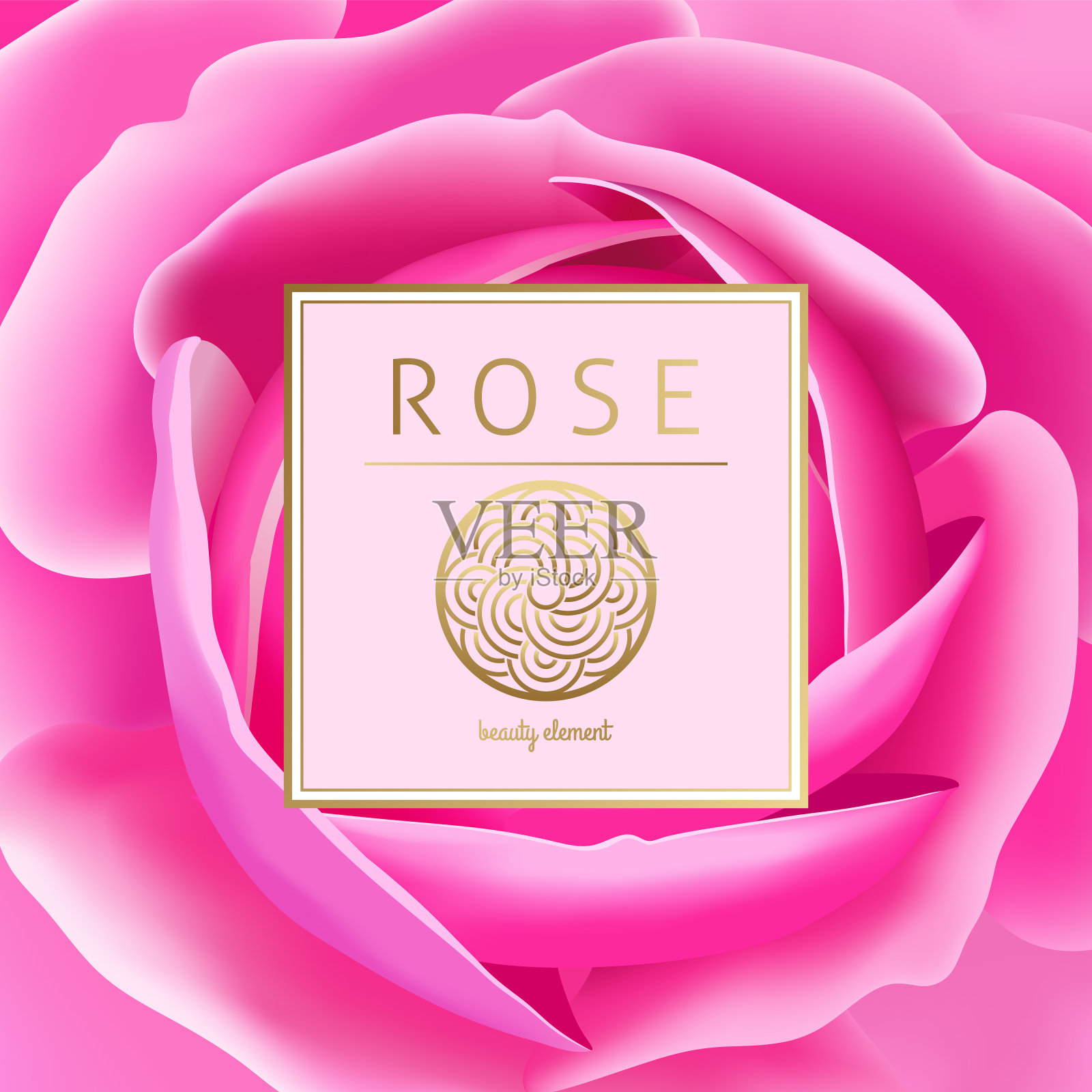 带有玫瑰的矢量卡片。插画图片素材