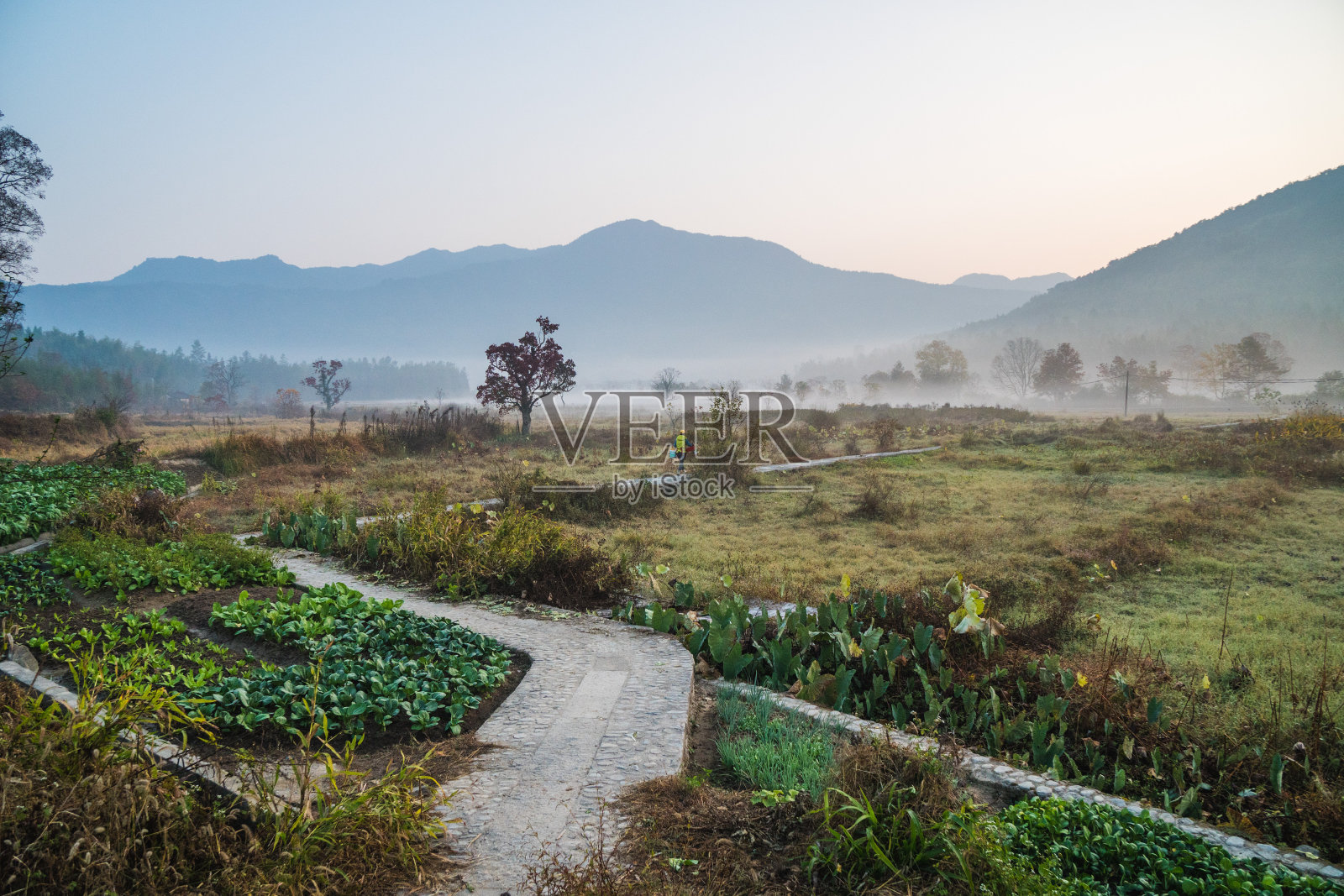 风景如画的秋日清晨，黄汉地区的乡村，靠近中国易县的宏村和塔川村照片摄影图片
