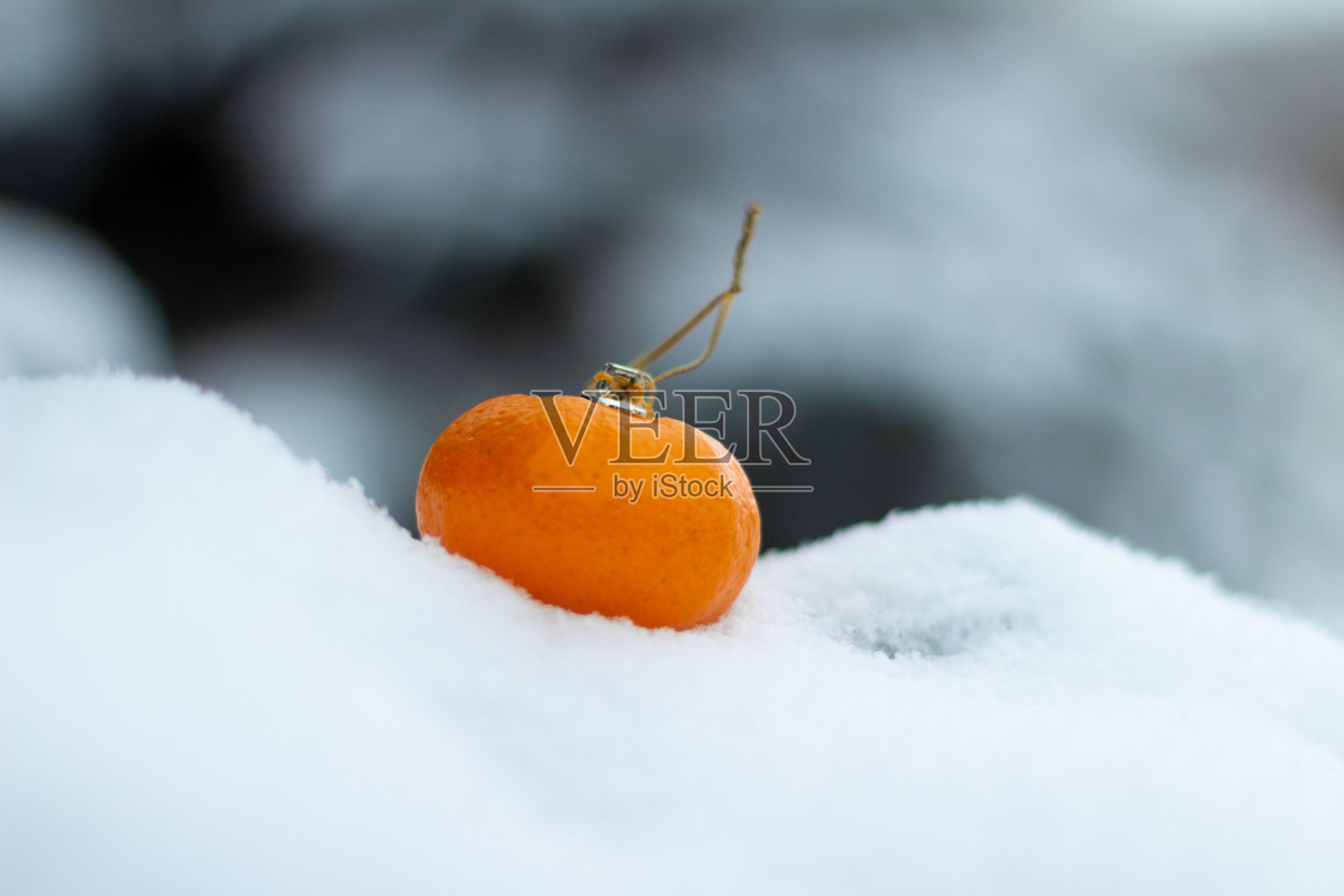 街上一棵绿色的圣诞树上挂着橘子照片摄影图片