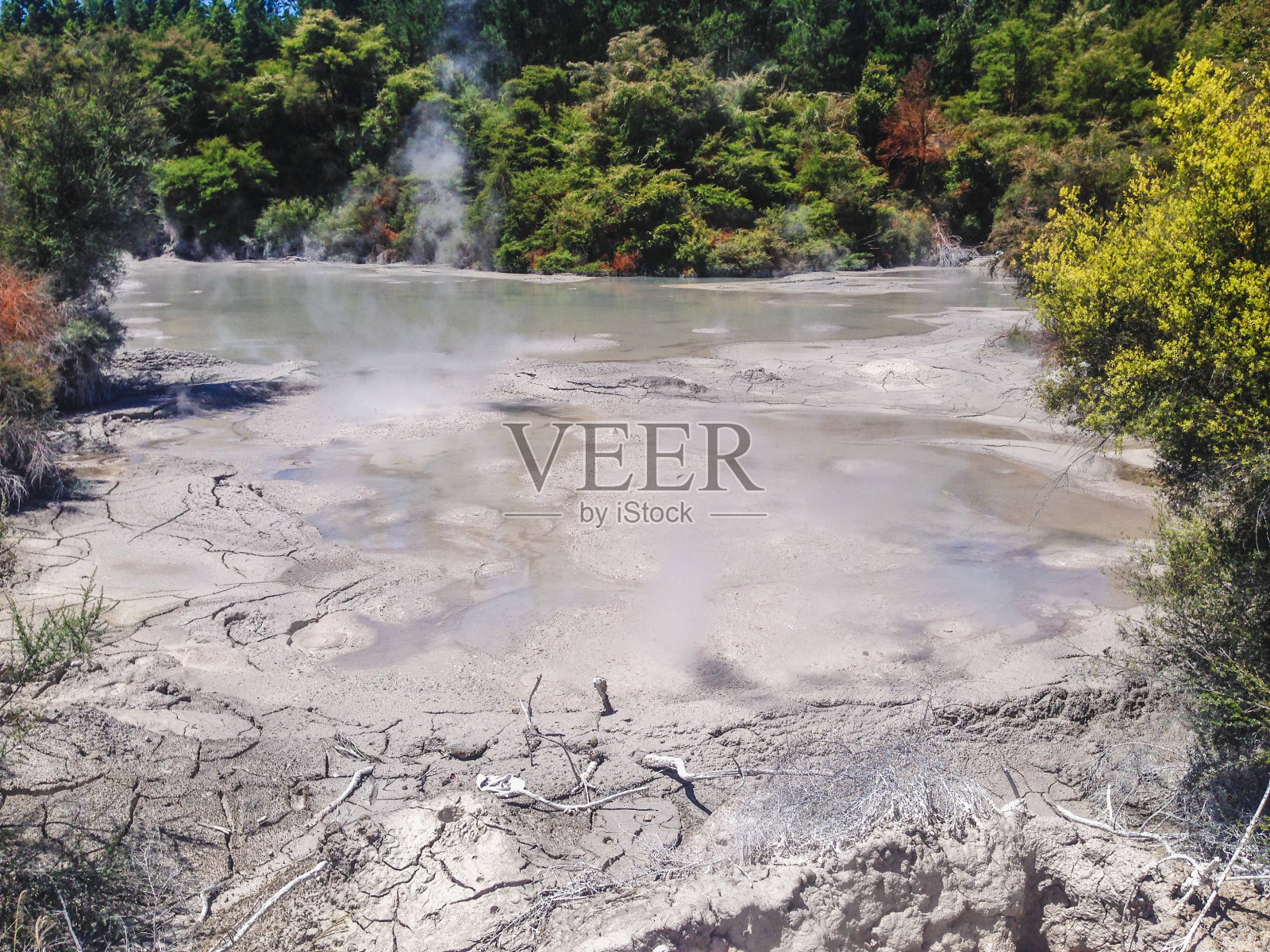 新西兰北岛罗托鲁瓦奎罗公园的地热池照片摄影图片