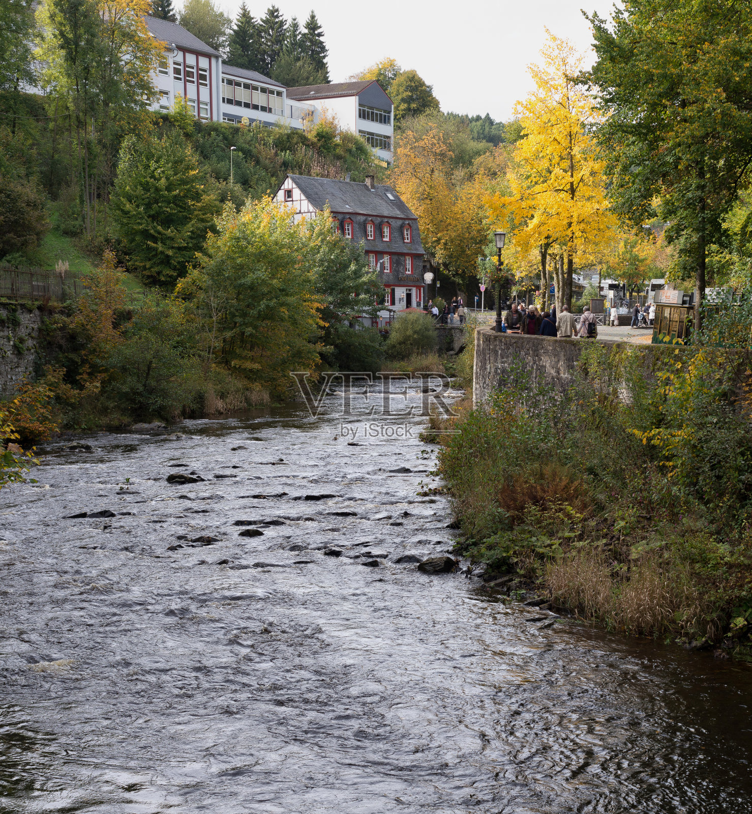 秋天湖边的树木照片摄影图片
