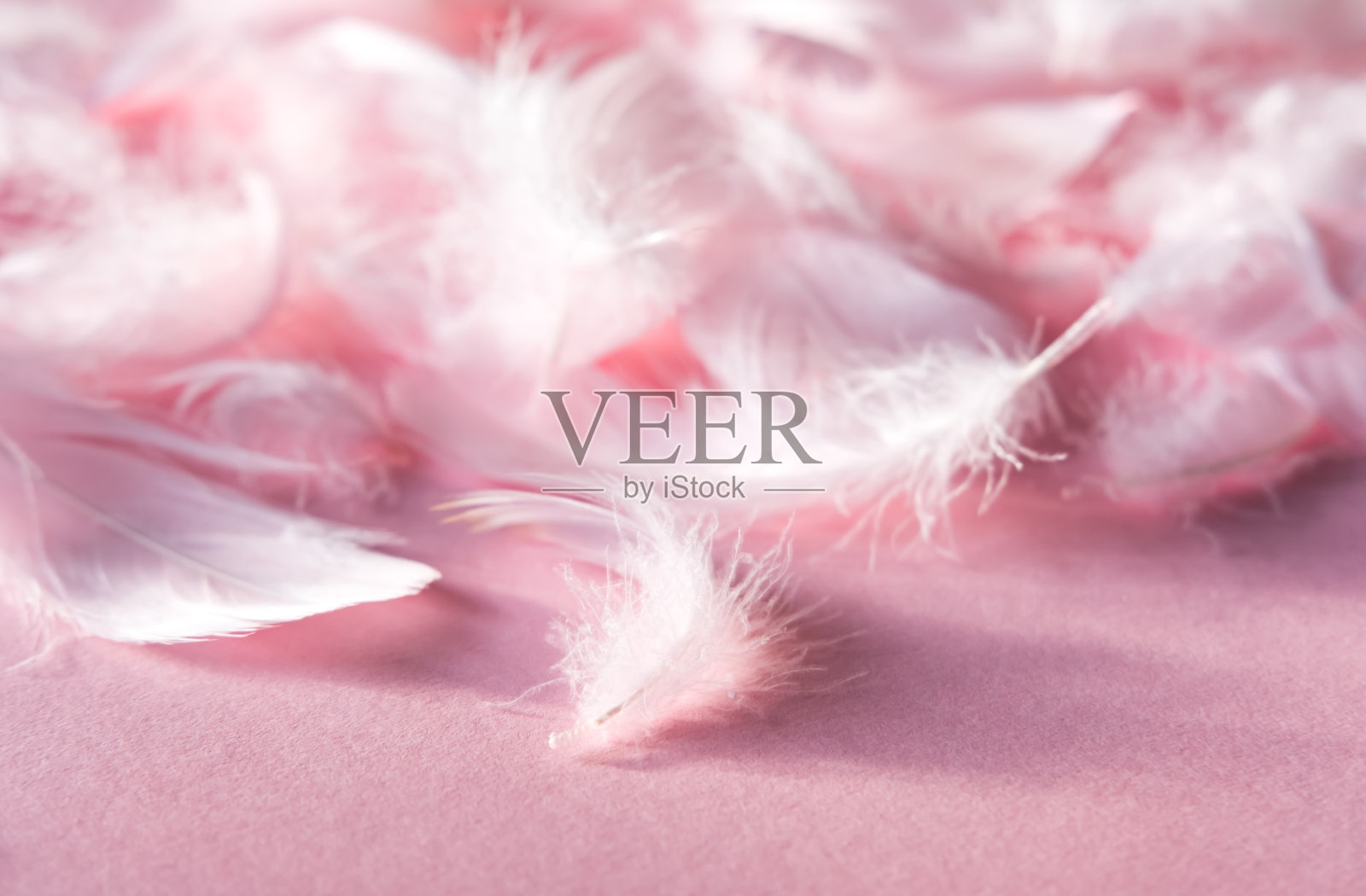 粉彩羽毛图案纹理背景。时尚节日的概念。照片摄影图片