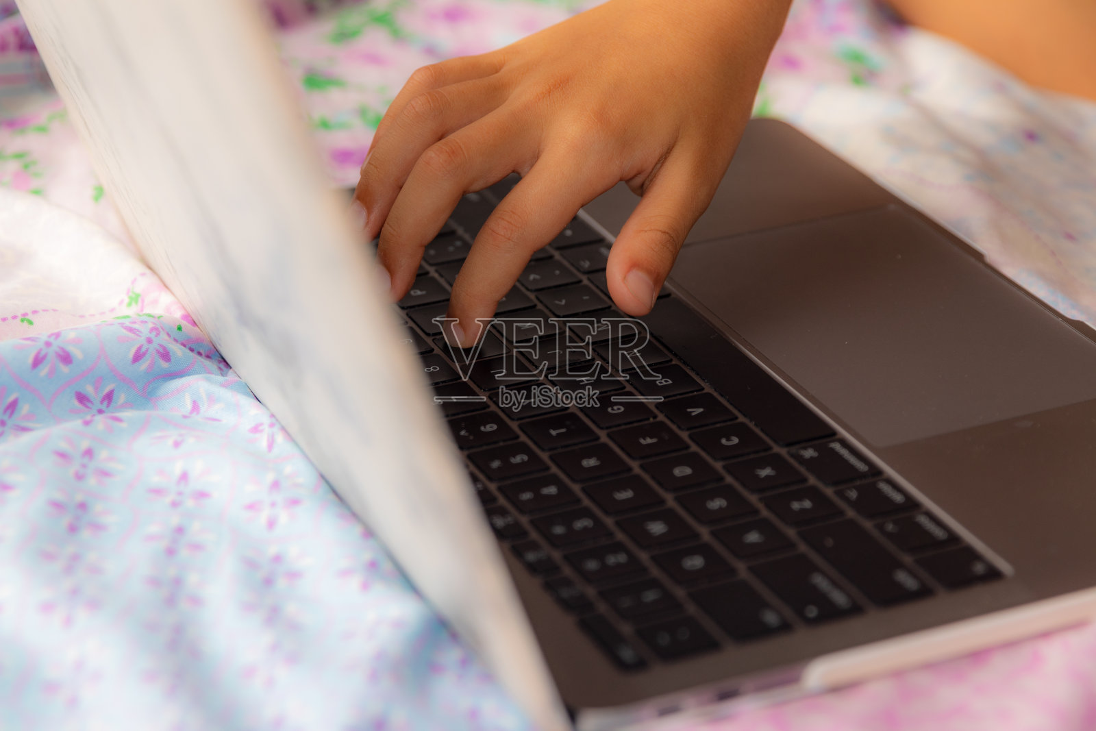 手在笔记本电脑照片摄影图片