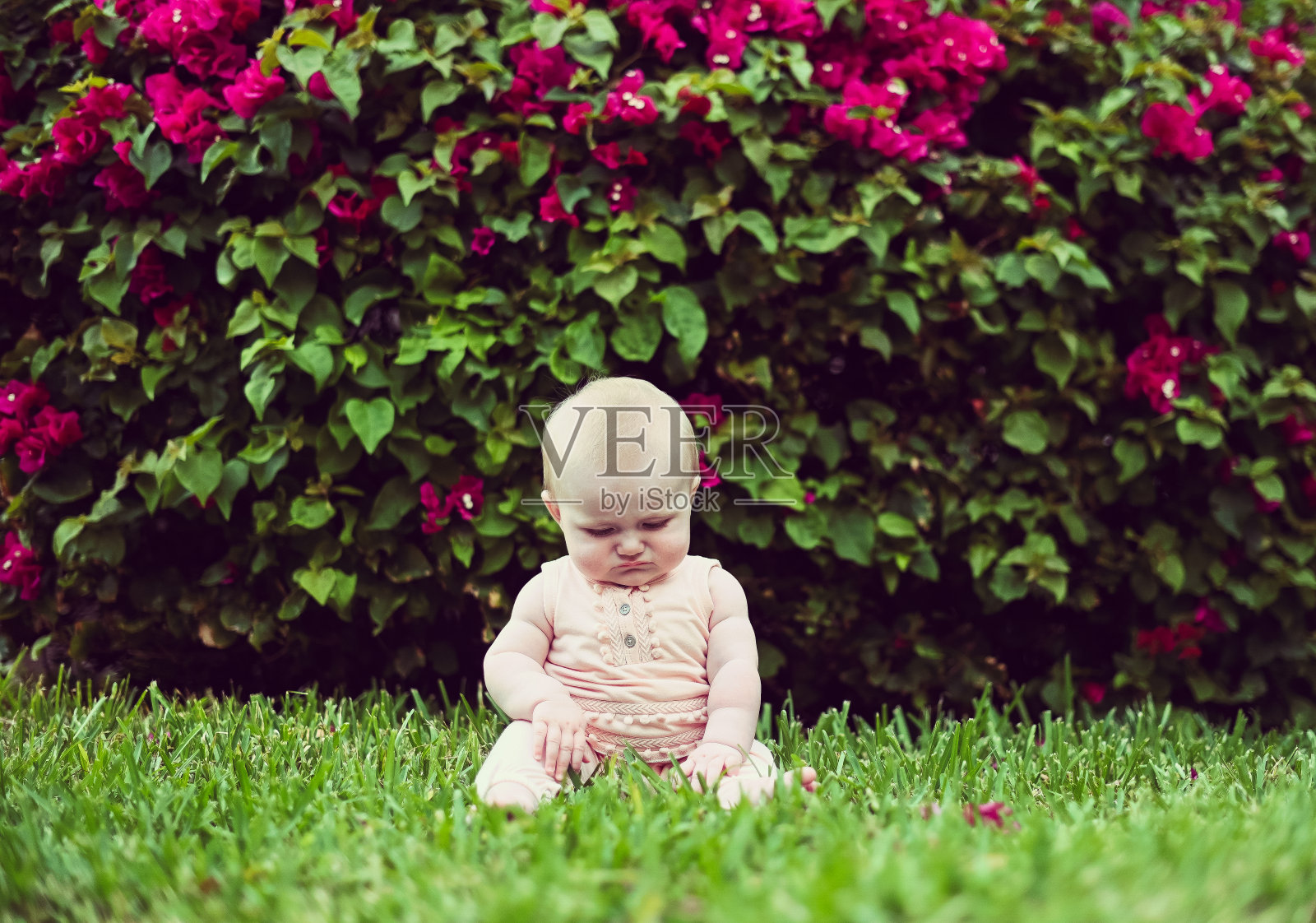 可爱的6个月大的女婴在草地上的花照片摄影图片