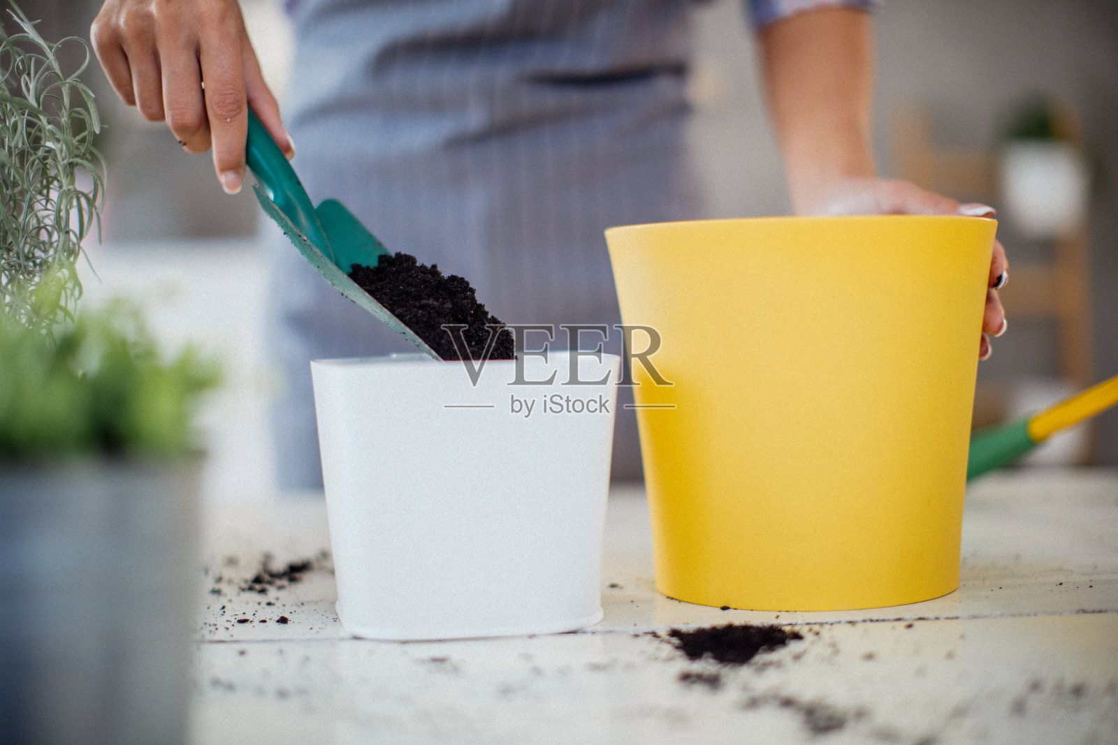 近距离拍摄的一个年轻女子与土壤工作。照片摄影图片