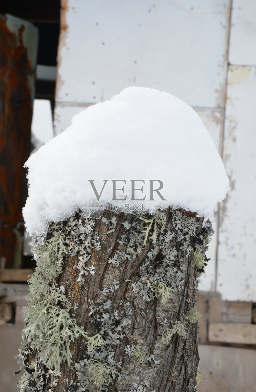 雪中的旧木栅栏照片摄影图片