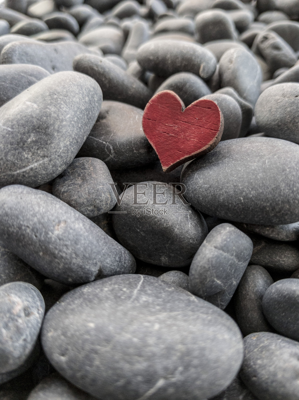 情侣优雅贺卡照片摄影图片