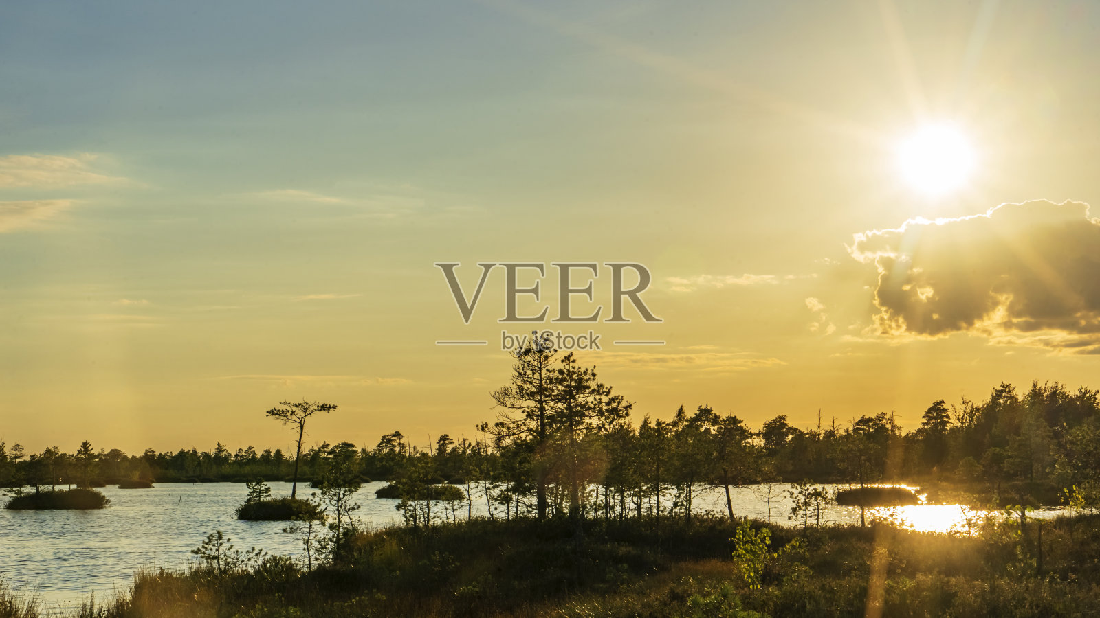 沼泽上橙色的夕阳。生态学、自然和保护区概念。照片摄影图片