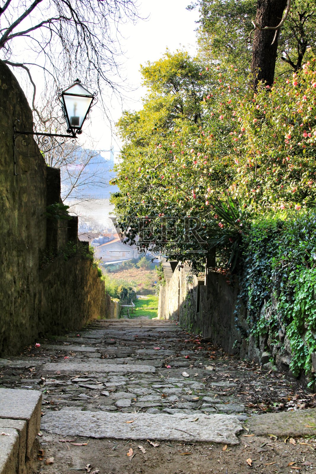 波尔图水晶宫花园的石头楼梯照片摄影图片