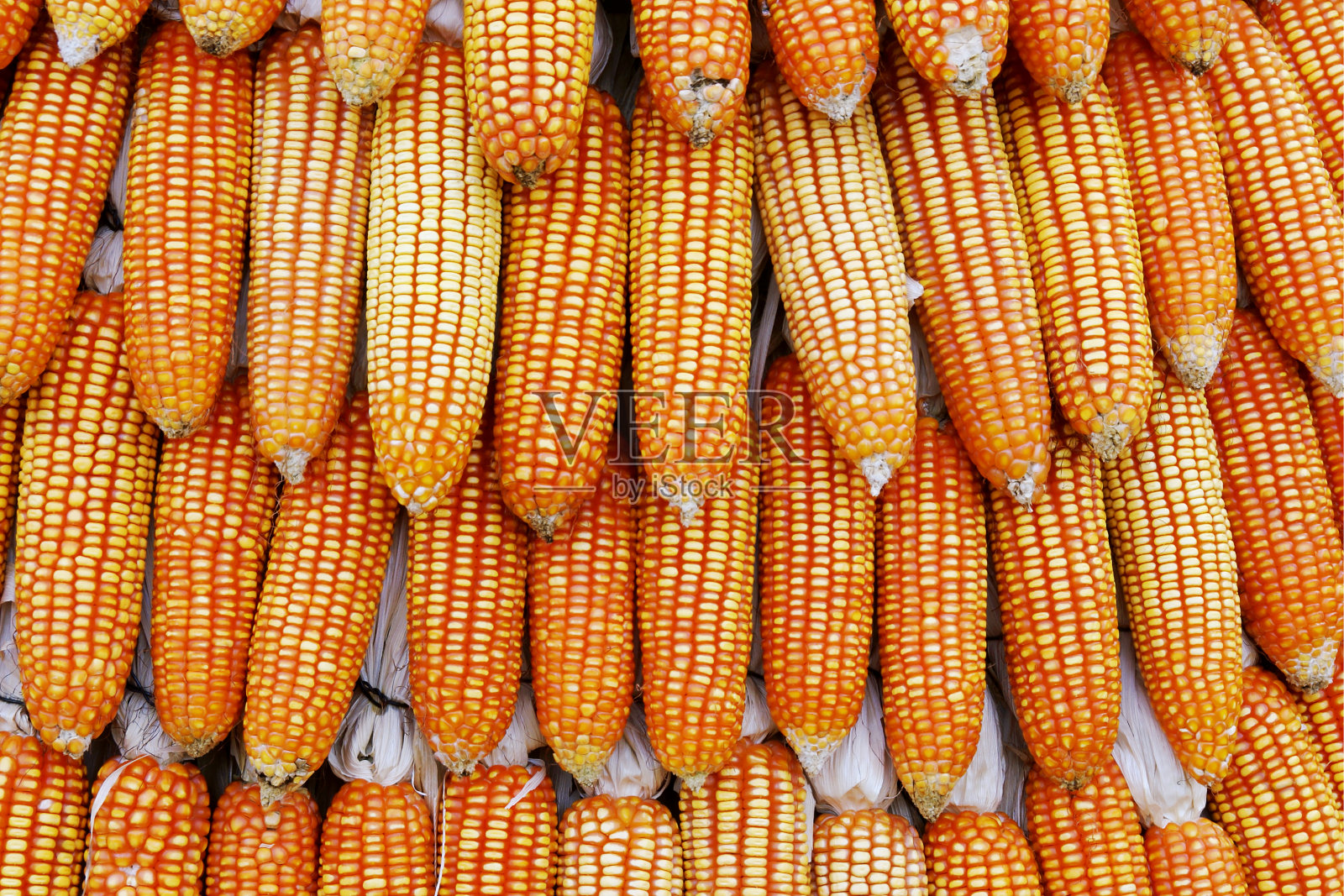 堆在穗轴上的干玉米自然图案背景照片摄影图片