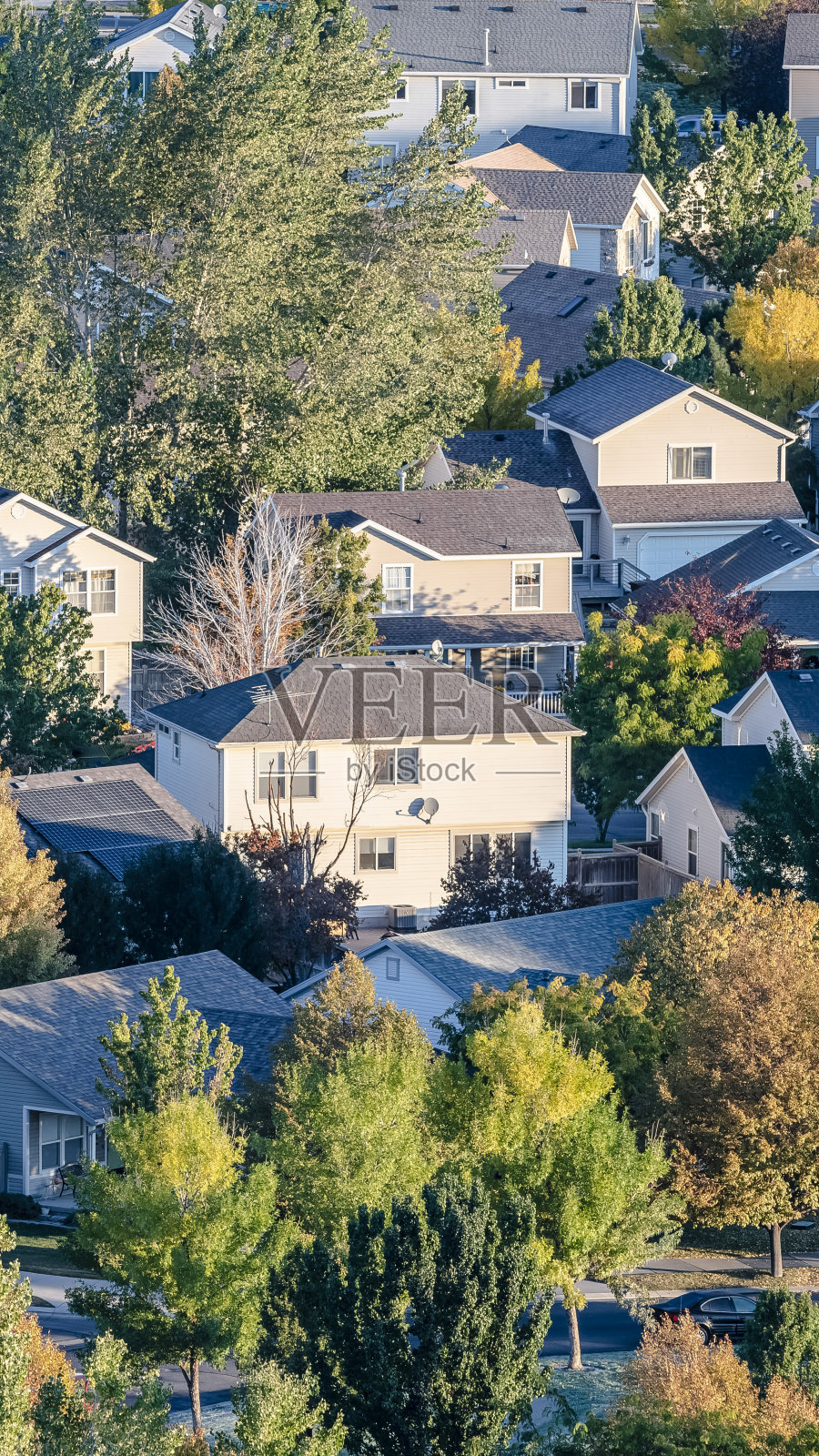 垂直屋顶视图的现代住宅小区与树木照片摄影图片