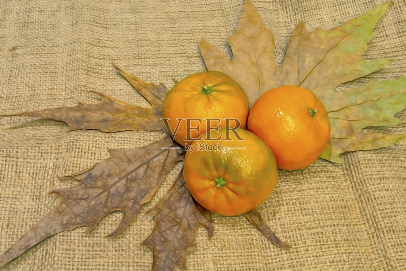 靠近橘子的秋天的叶子和柳条背景照片摄影图片