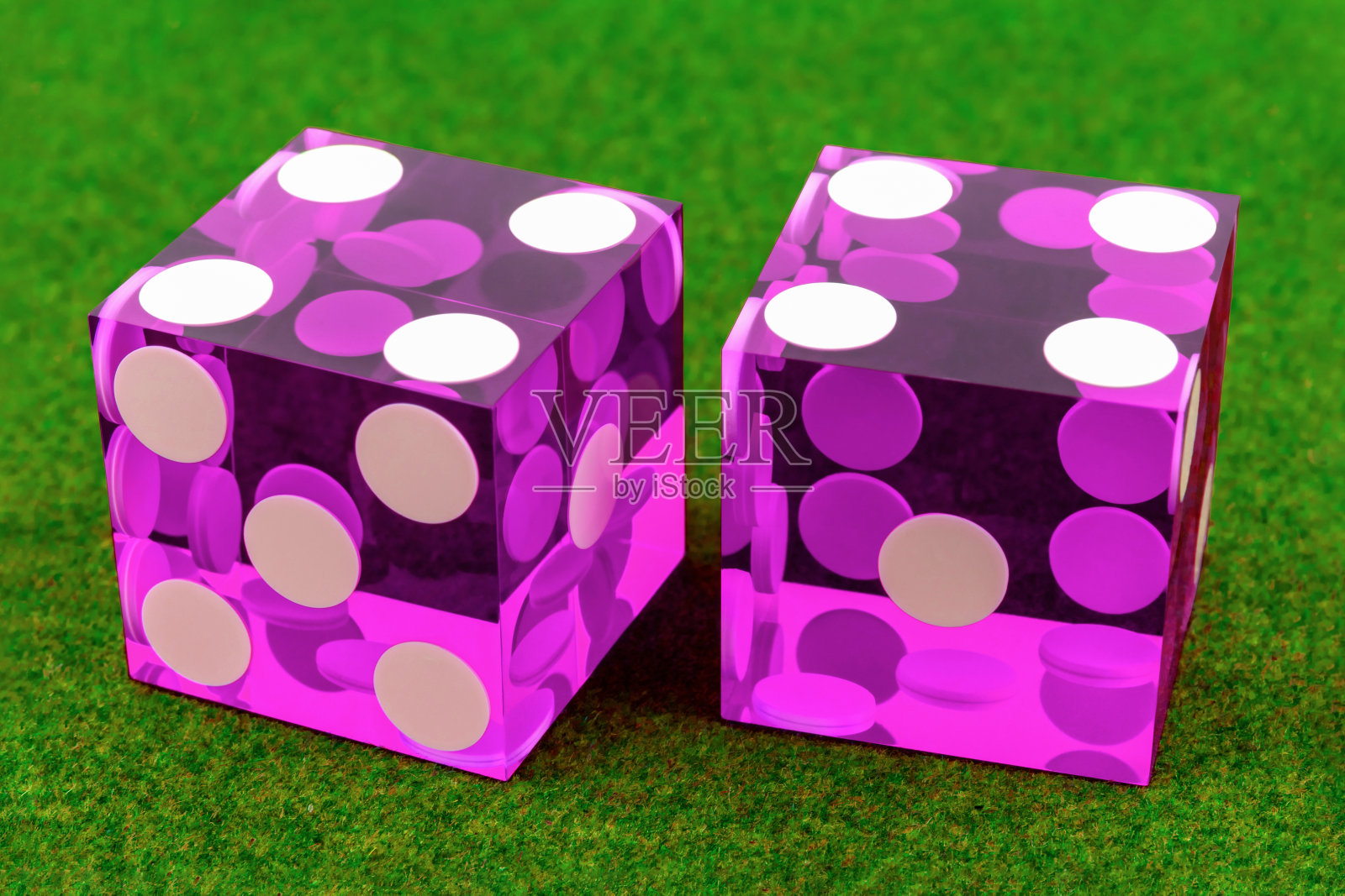 两个紫色的专业骰子在绿色的背景/结果为4和4，特写照片摄影图片