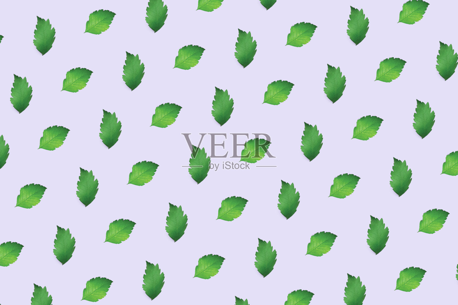 紫色背景上无缝的绿叶图案照片摄影图片