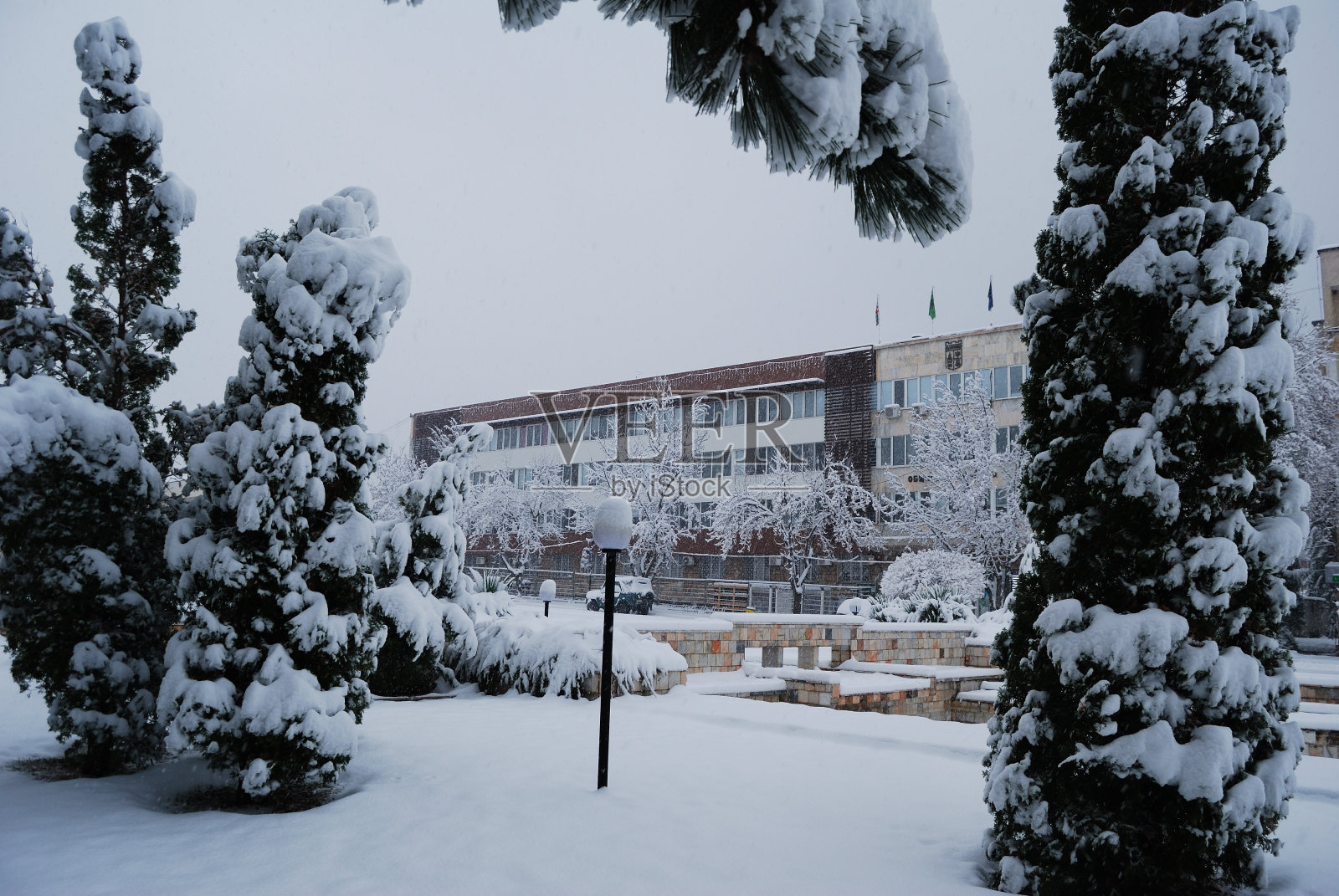 Berkovitsa -圣诞节前后的冬天照片摄影图片