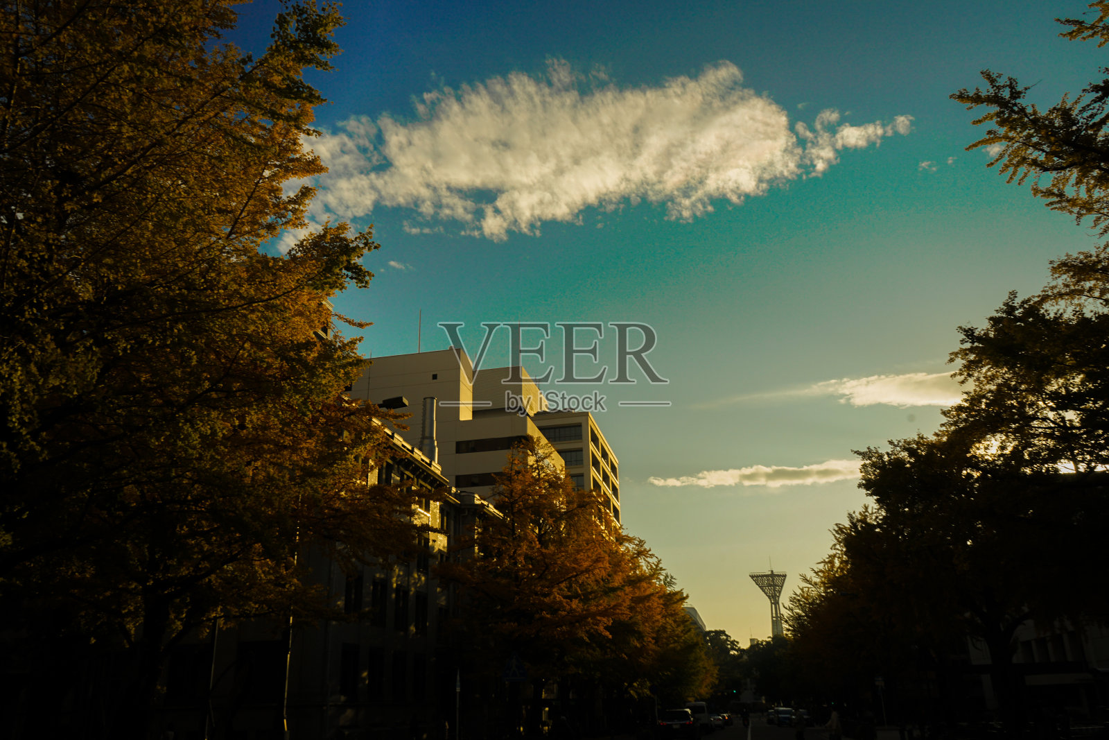 秋叶横滨，日本大街照片摄影图片