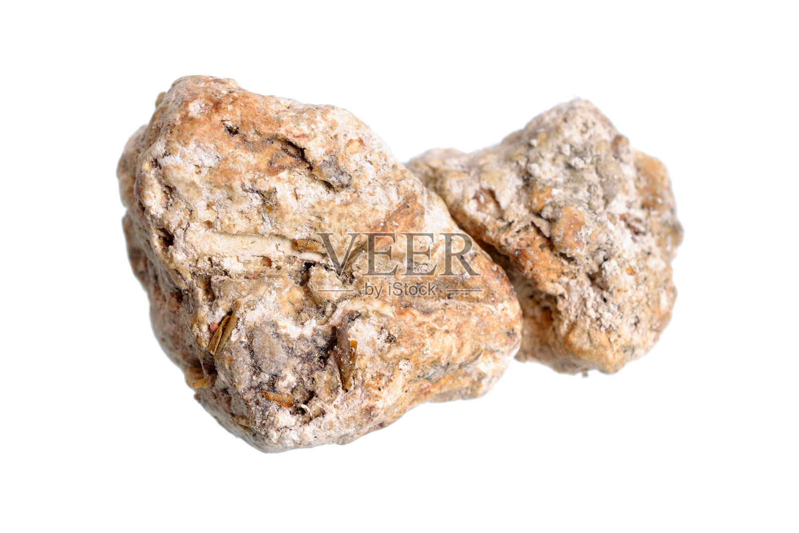 龙涎香，灰色龙涎香，琥珀色或灰色琥珀色。在白色背景上隔离照片摄影图片