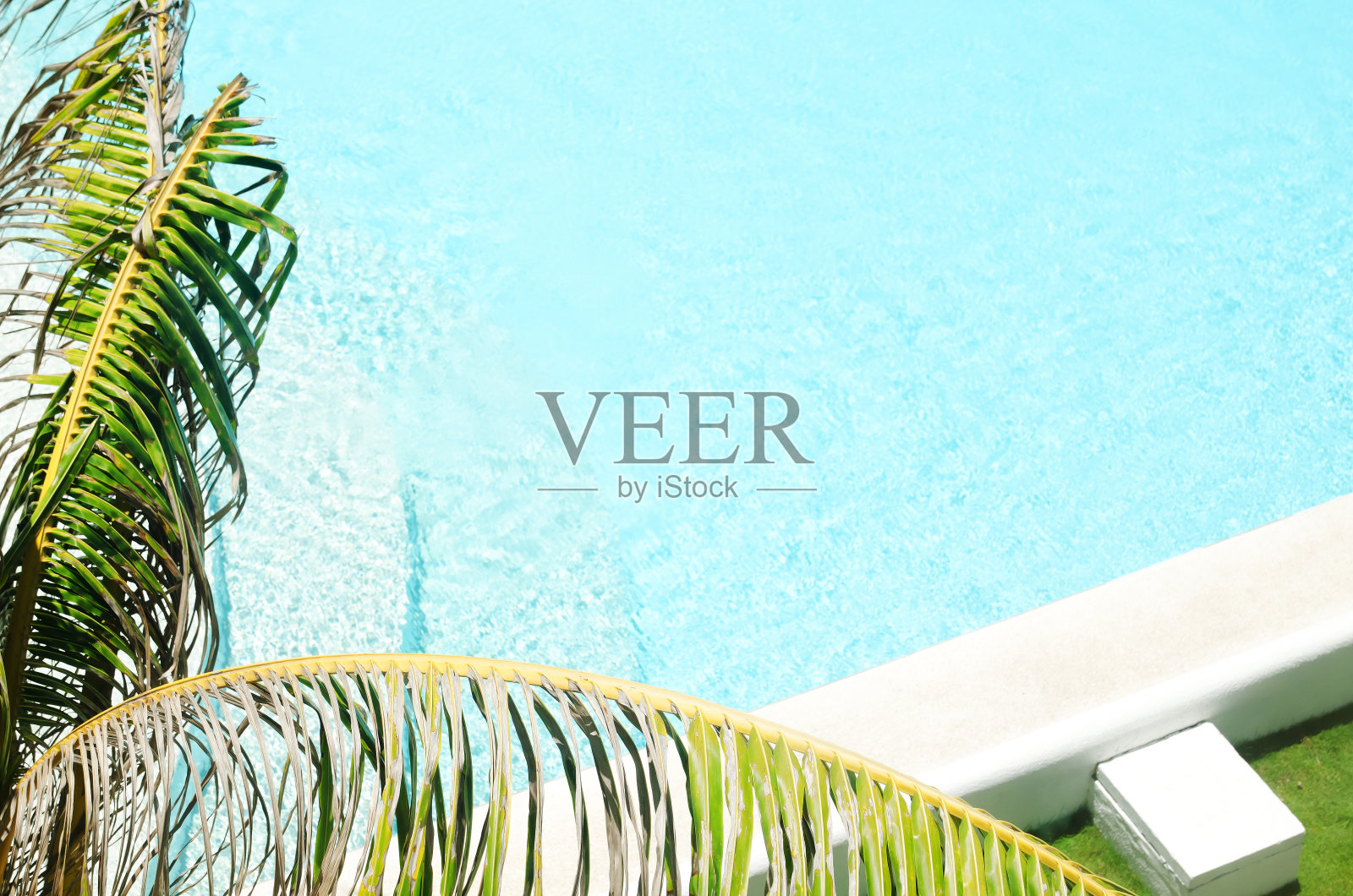 池畔复制空间场景照片摄影图片