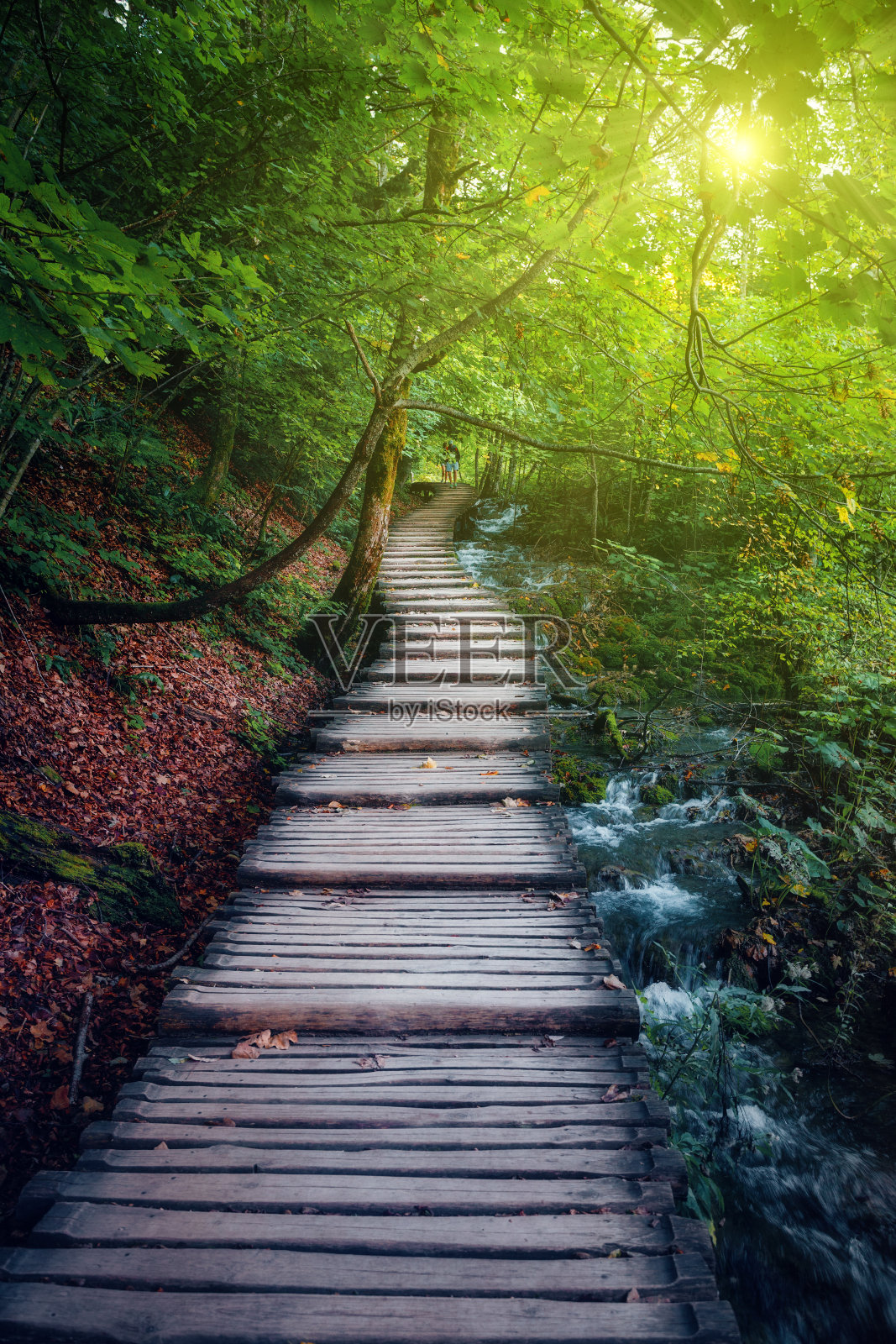 秋天公园里的小路照片摄影图片