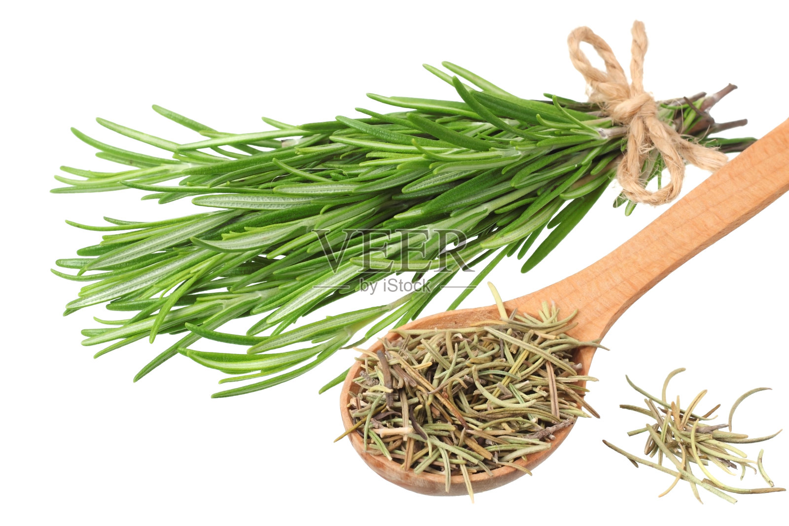 迷迭香叶孤立在白色背景上。迷迭香群照片摄影图片