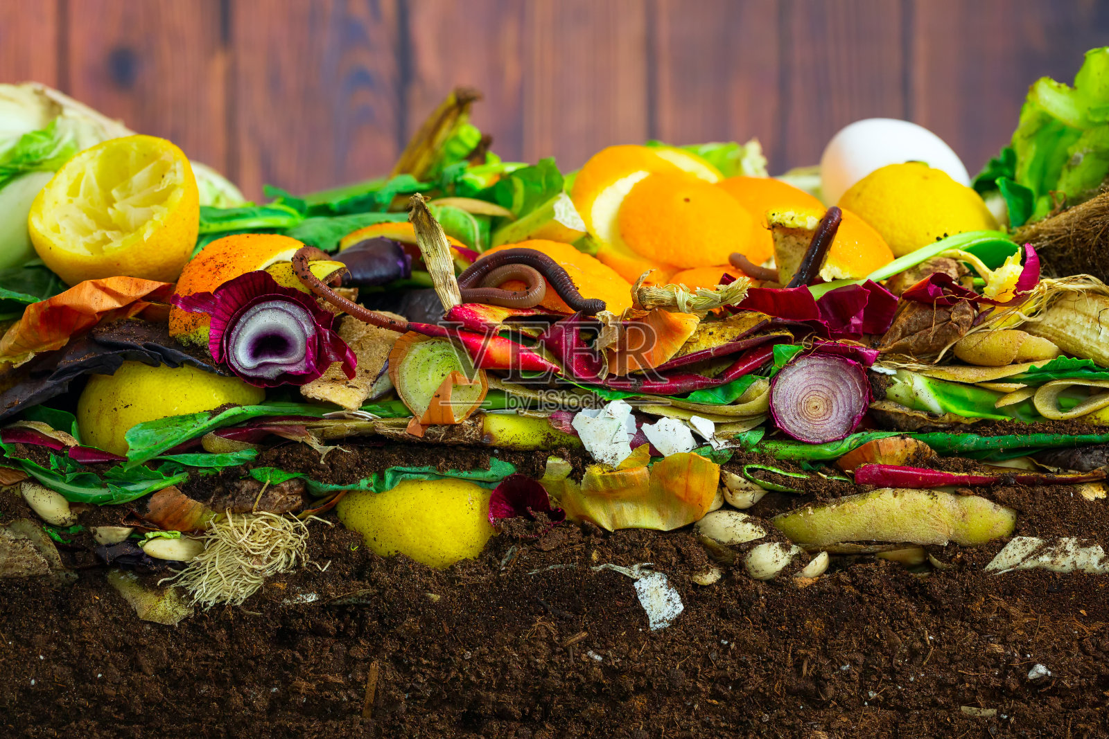 住在五颜六色的堆肥堆里的蚯蚓照片摄影图片