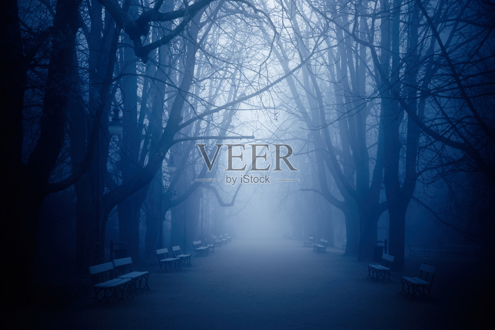 公园和雾照片摄影图片