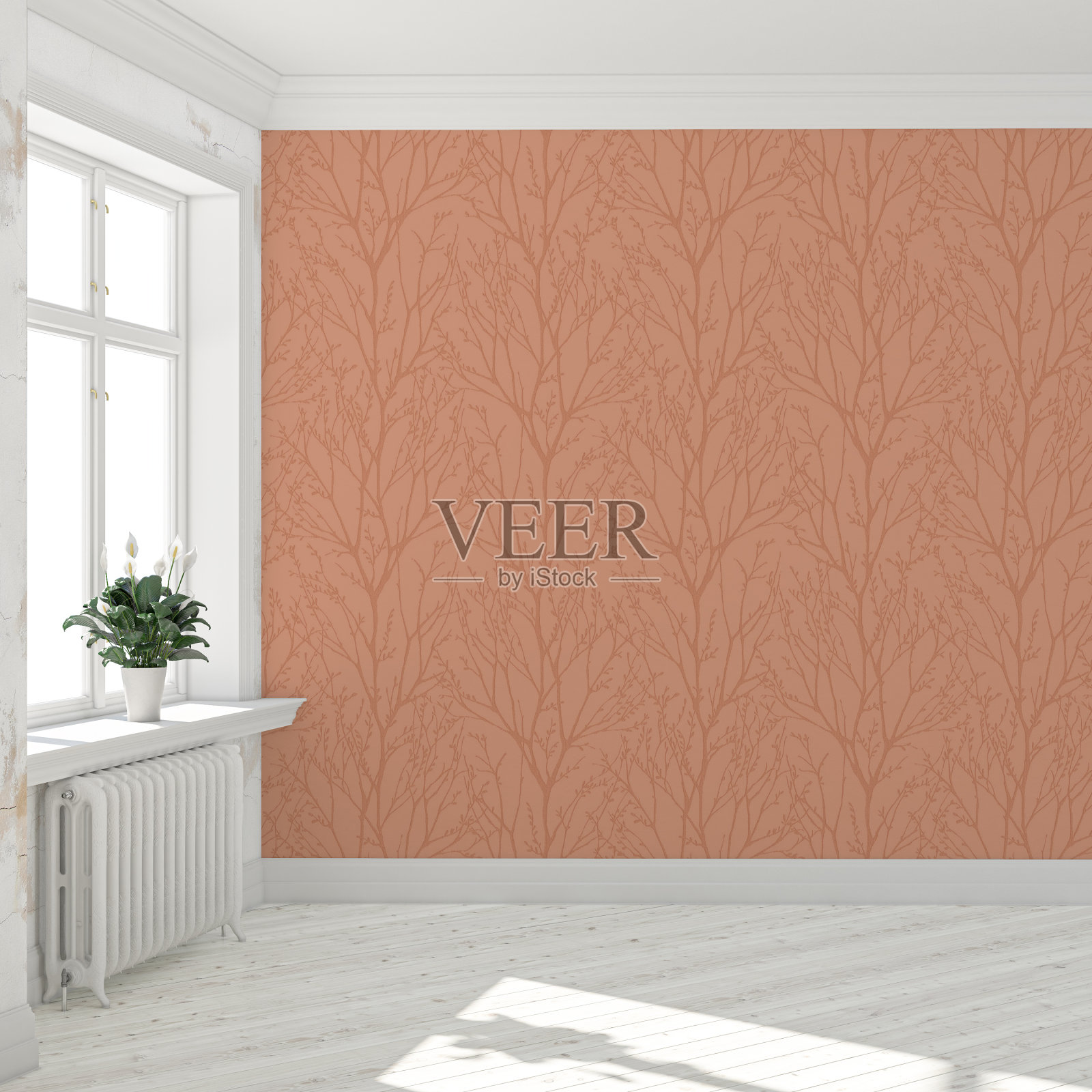 空的古董内部照片摄影图片