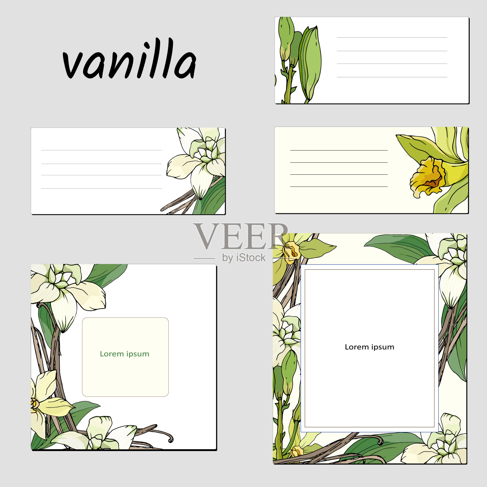 花卉矢量模板文本，企业身份，名片，信件。热带装饰，用于名片，广告，海报，广告。设计模板素材