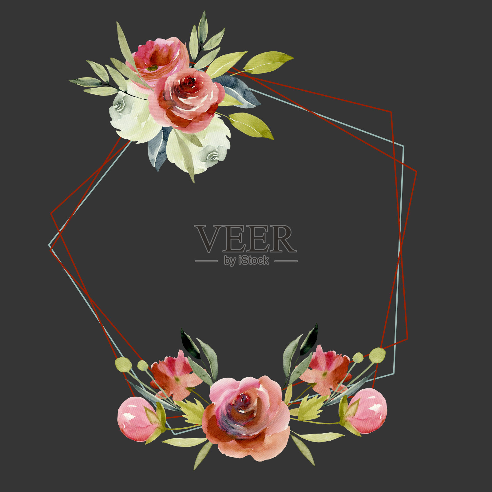 五角形框架与水彩白色和红色玫瑰，手绘在一个黑暗的背景，婚礼设计插画图片素材