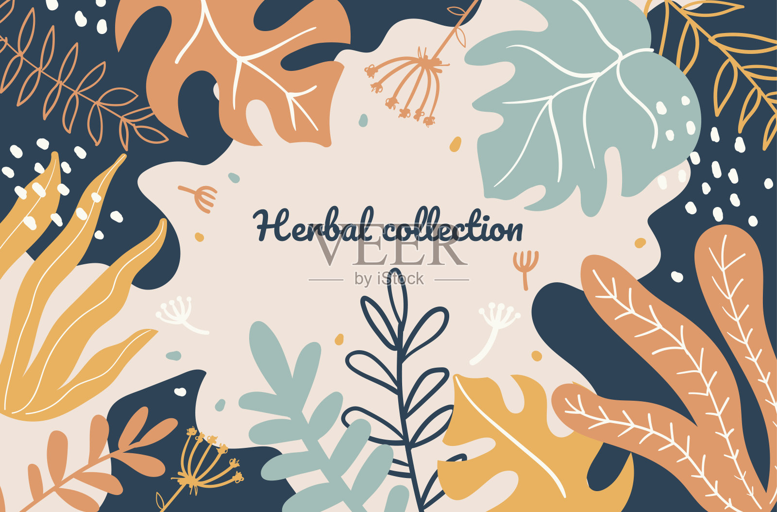 抽象叶片，植物叶片平面矢量插图插画图片素材