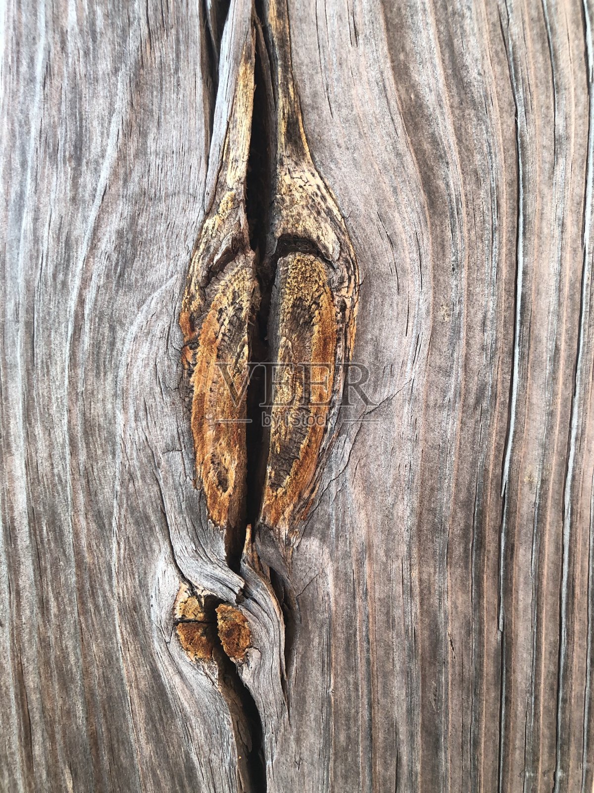 木结照片摄影图片