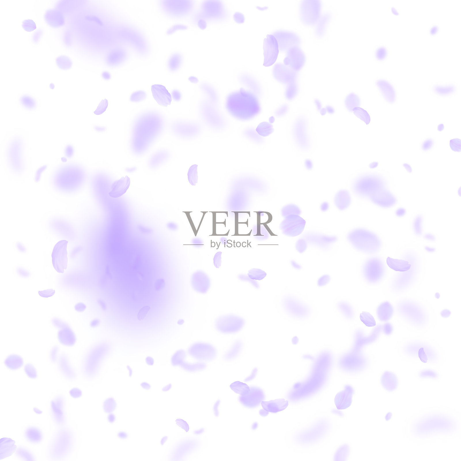 紫罗兰花瓣飘落。无敌的罗马插画图片素材