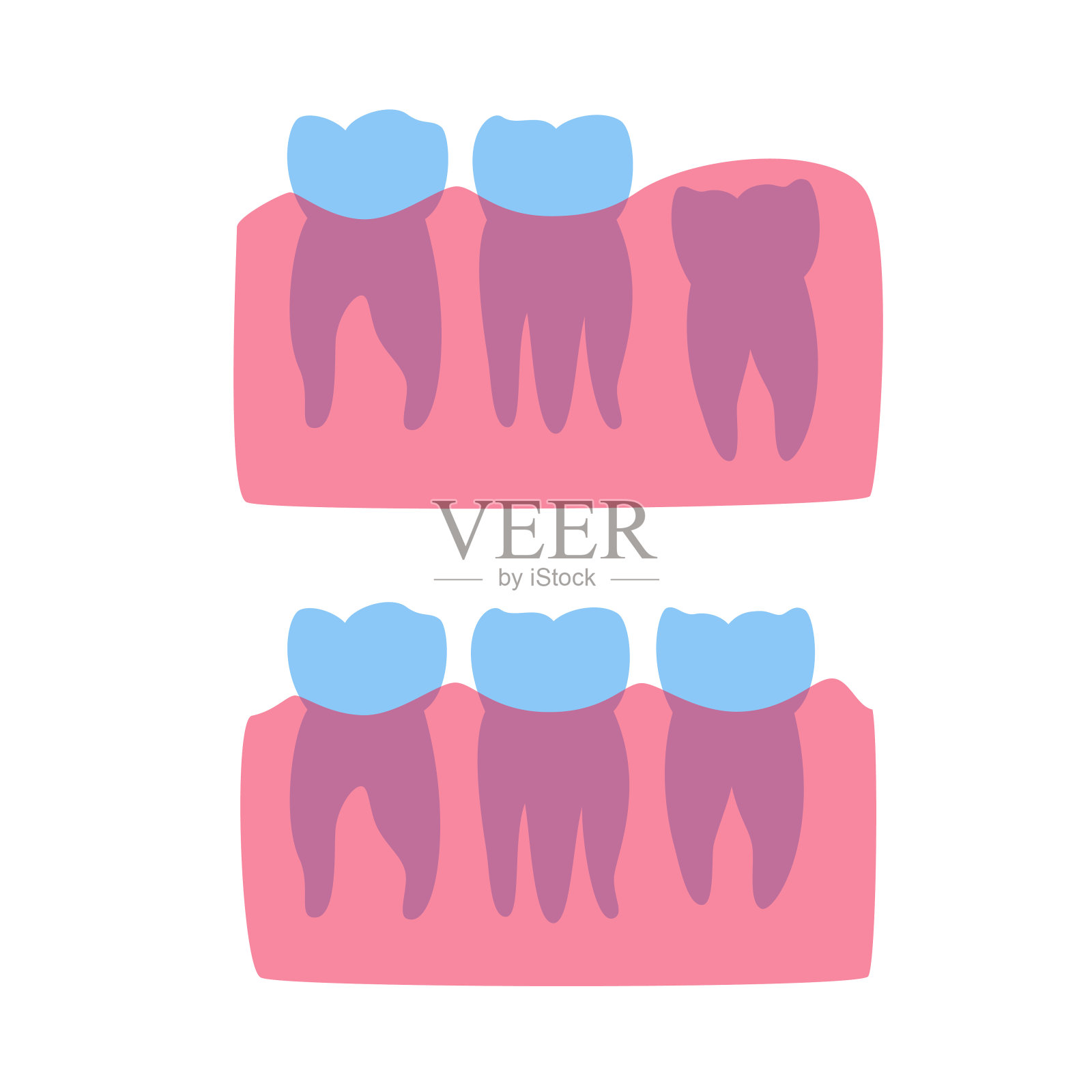 矢量孤立的插图的牙齿插画图片素材