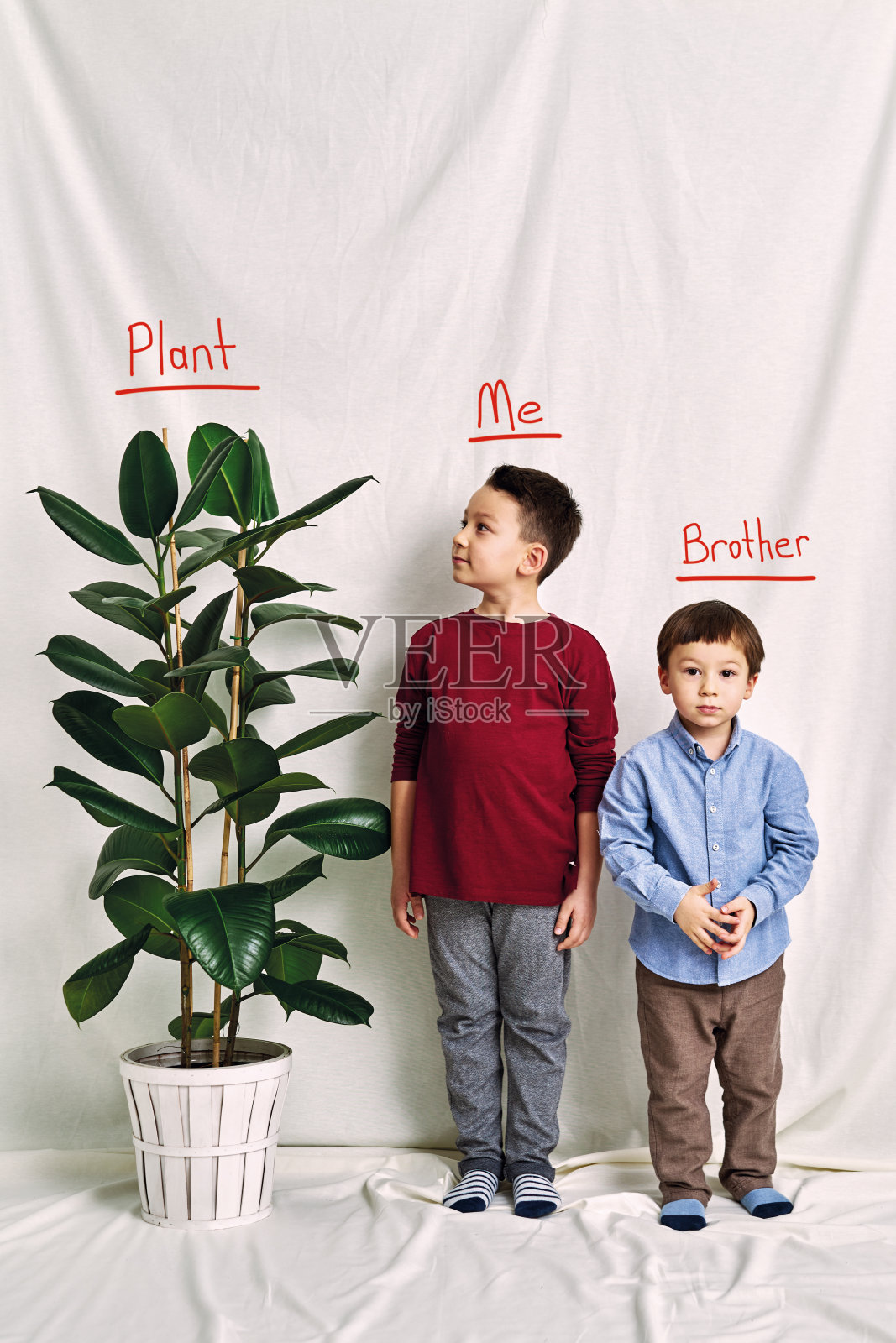 可爱的孩子在测量他的身高。成长与竞争的概念。照片摄影图片