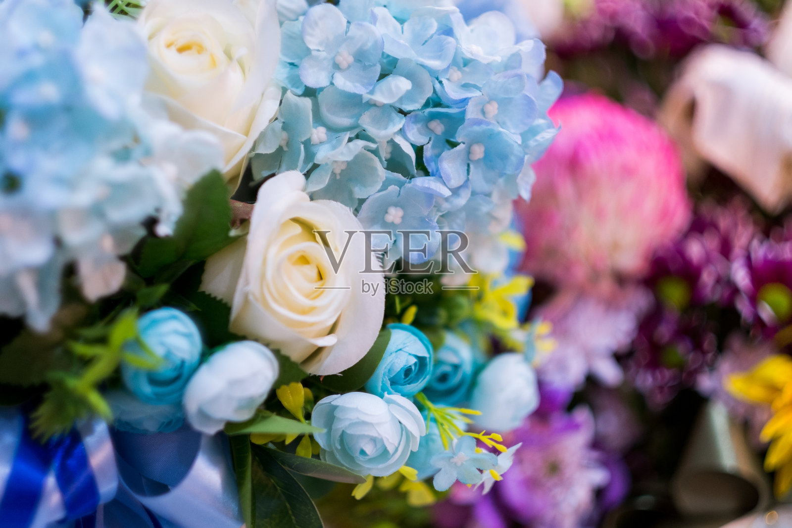 选择焦点的色彩全花。照片摄影图片