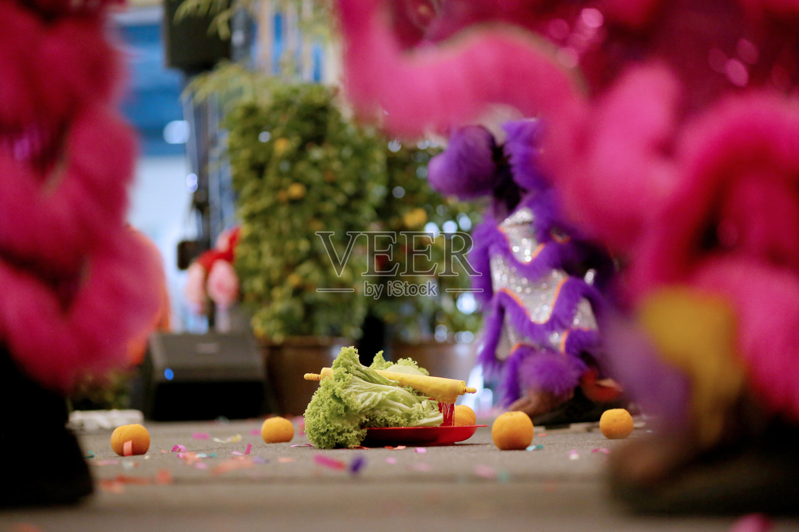 中国新年:舞狮表演照片摄影图片