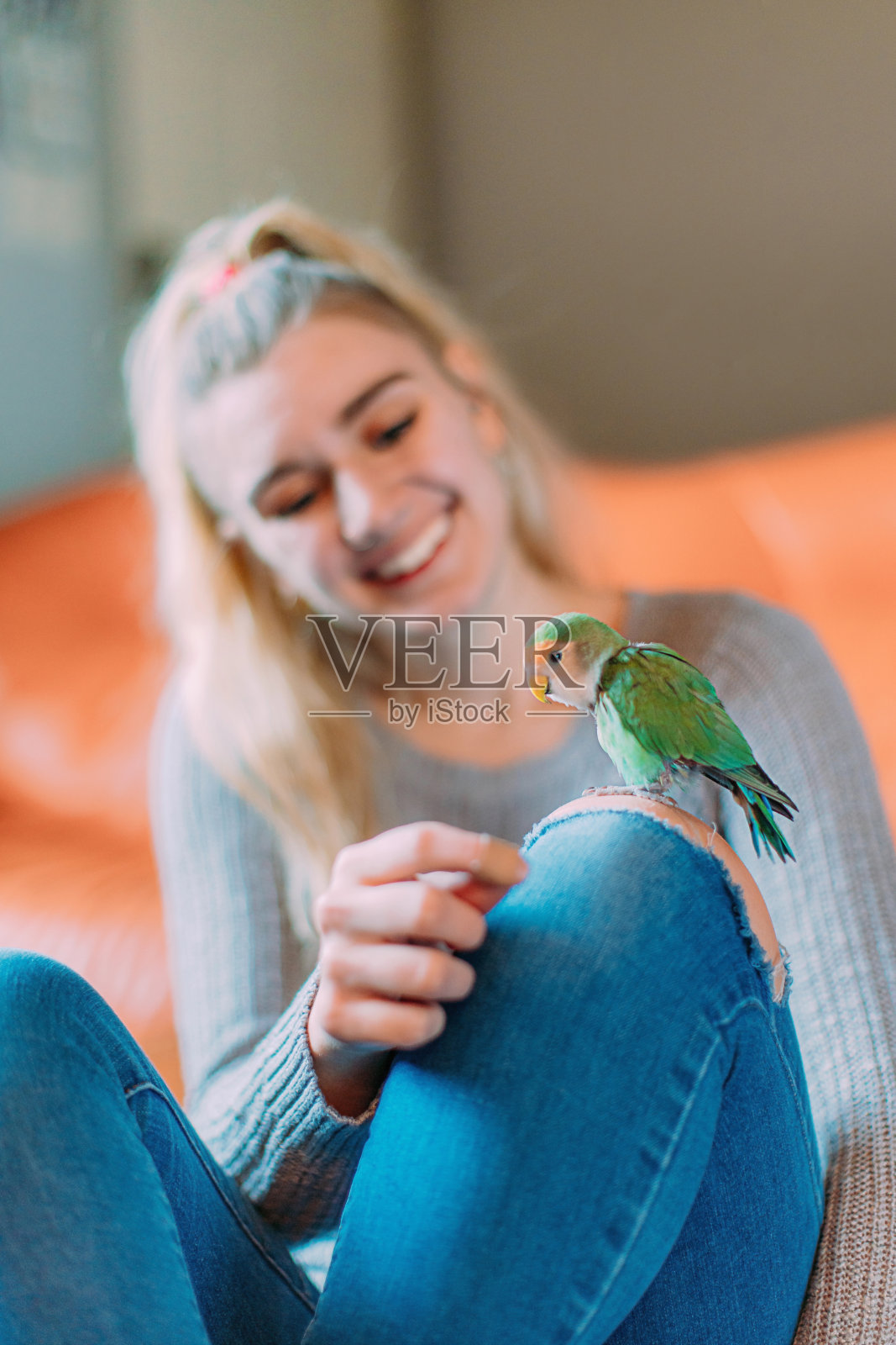 年轻的金发白种人女人微笑和大笑在室内与宠物鹦鹉照片摄影图片