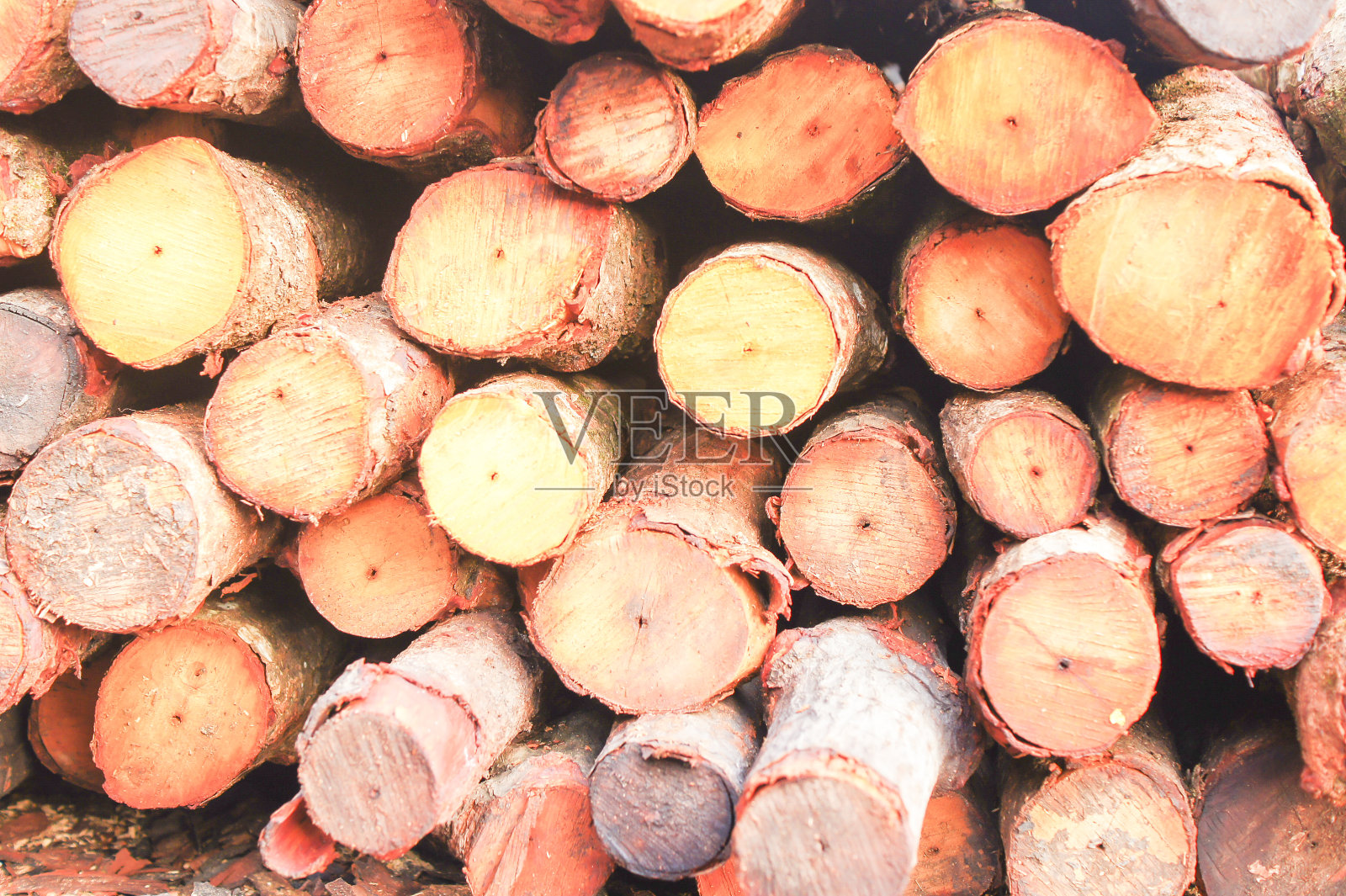 传统木炭厂，马来西亚，Sepetang -马来西亚吉隆坡的传统木炭厂照片摄影图片