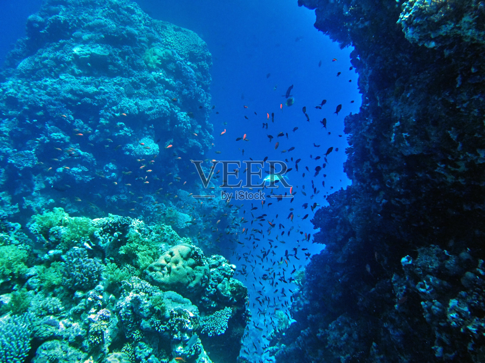 红海海底峡谷风光照片摄影图片