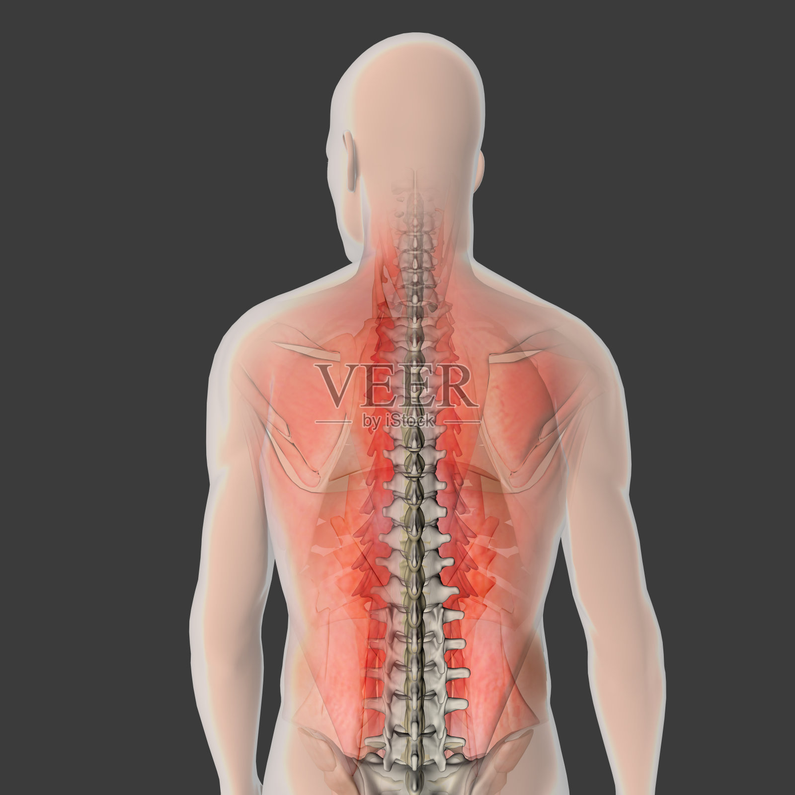 肌肉，腰痛照片摄影图片