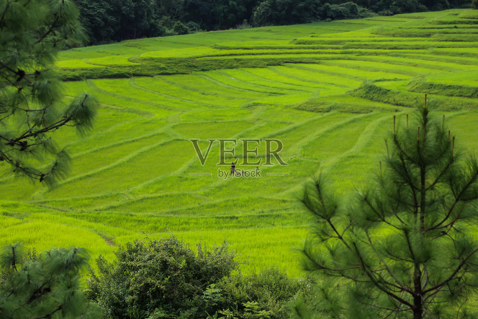 生活探险照片摄影图片