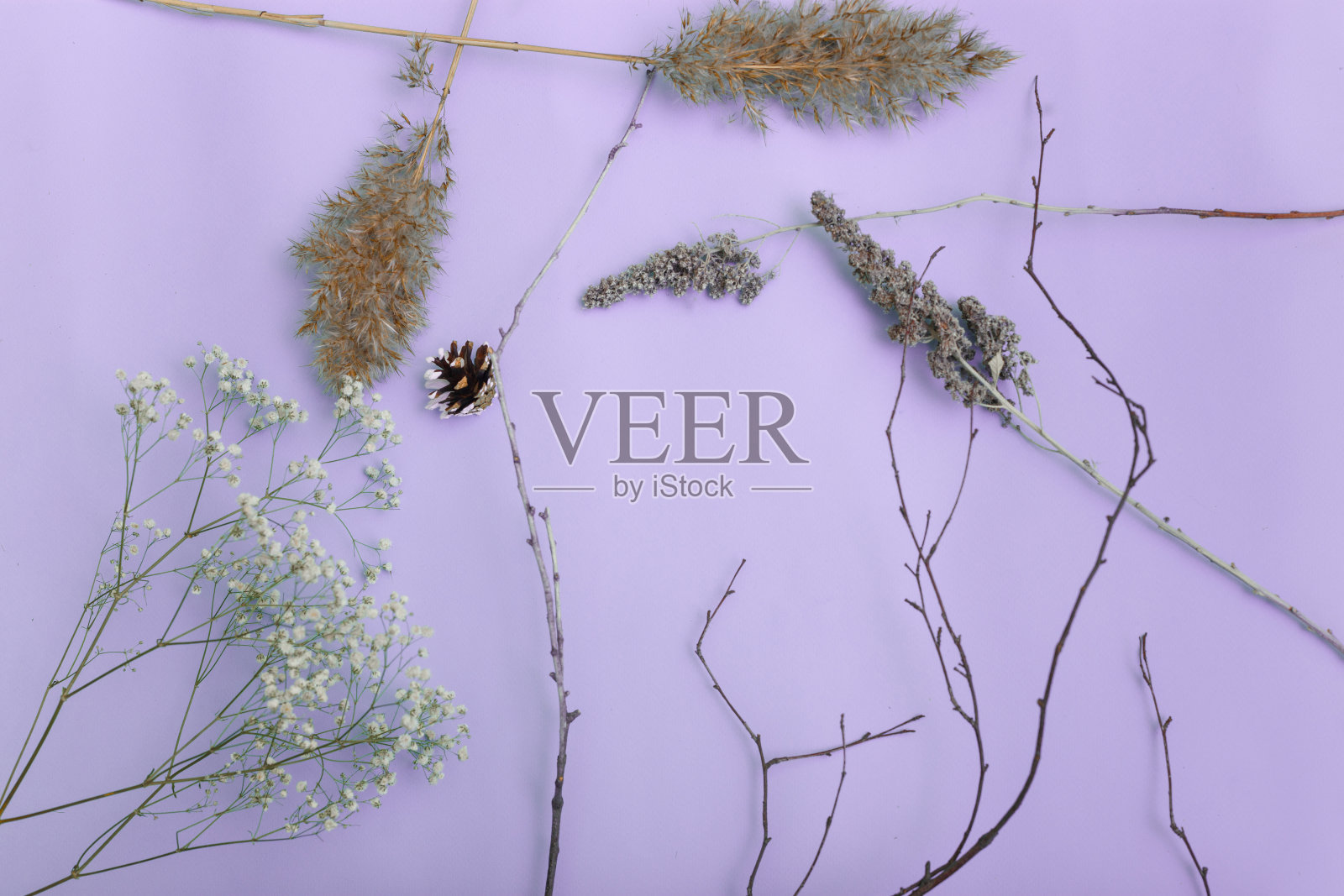 薰衣草背景下的干早午餐照片摄影图片