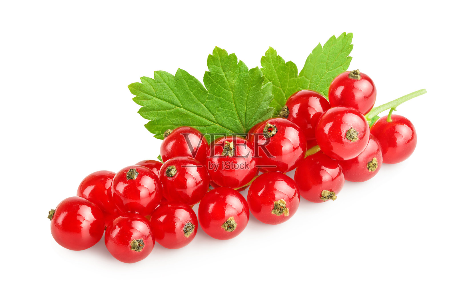 红醋栗浆果，叶子孤立在白色背景上照片摄影图片