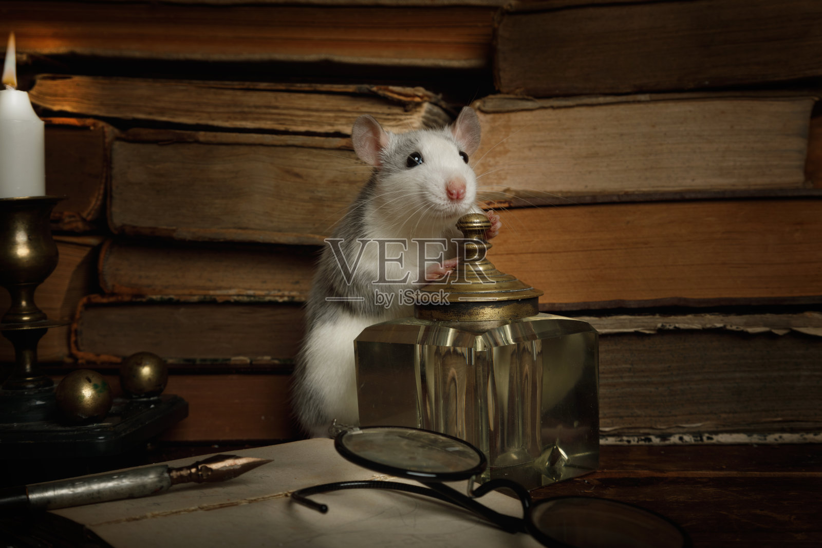 老鼠在旧书、墨水瓶和老式玻璃杯之间跑来跑去照片摄影图片