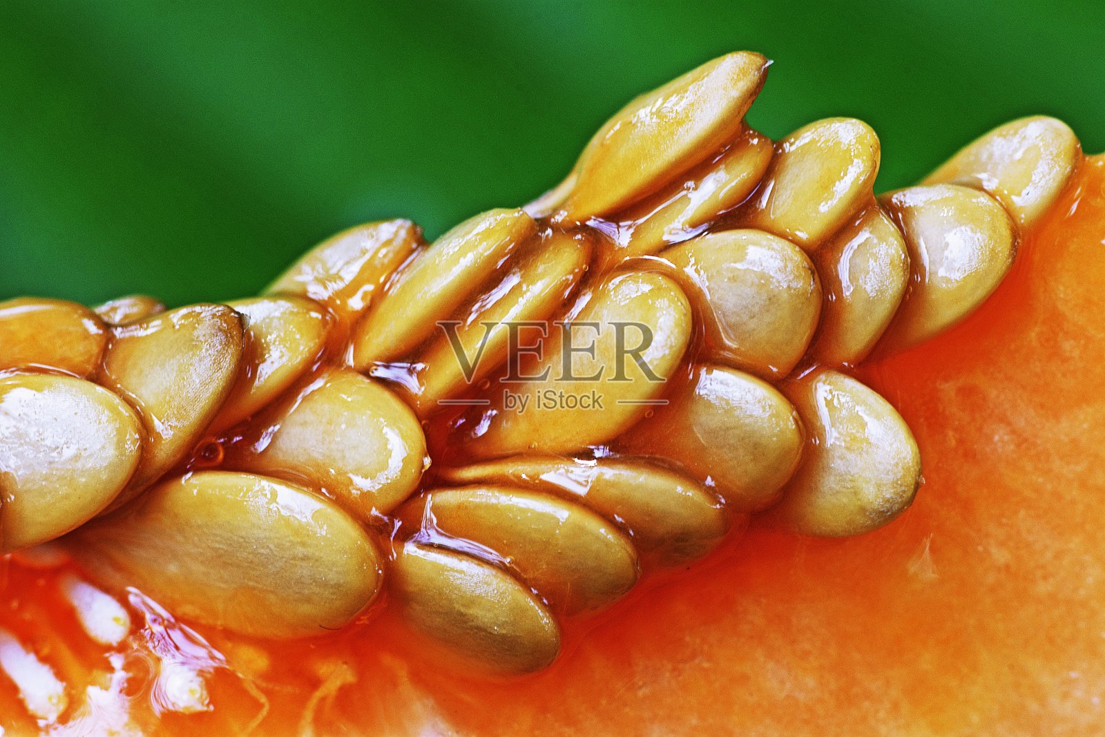 封闭的哈密瓜种子。照片摄影图片