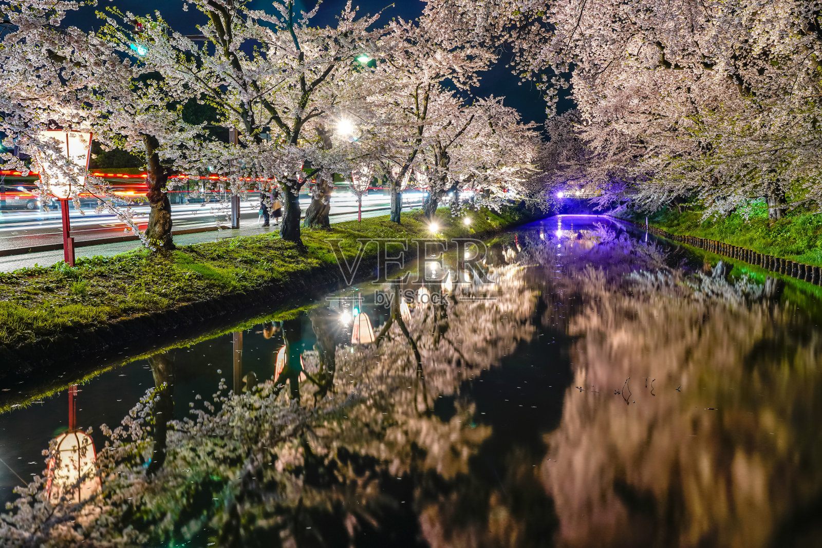 春季弘前公园樱花祭夜间灯光照片摄影图片
