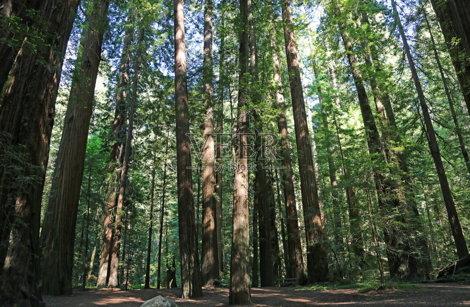 博林格罗夫照片摄影图片