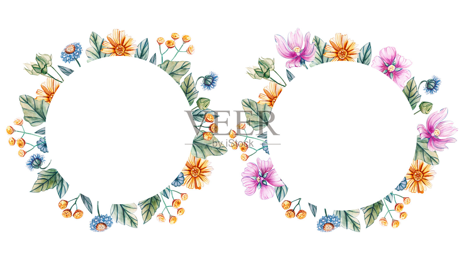 圆形框架与水彩野花。插画图片素材