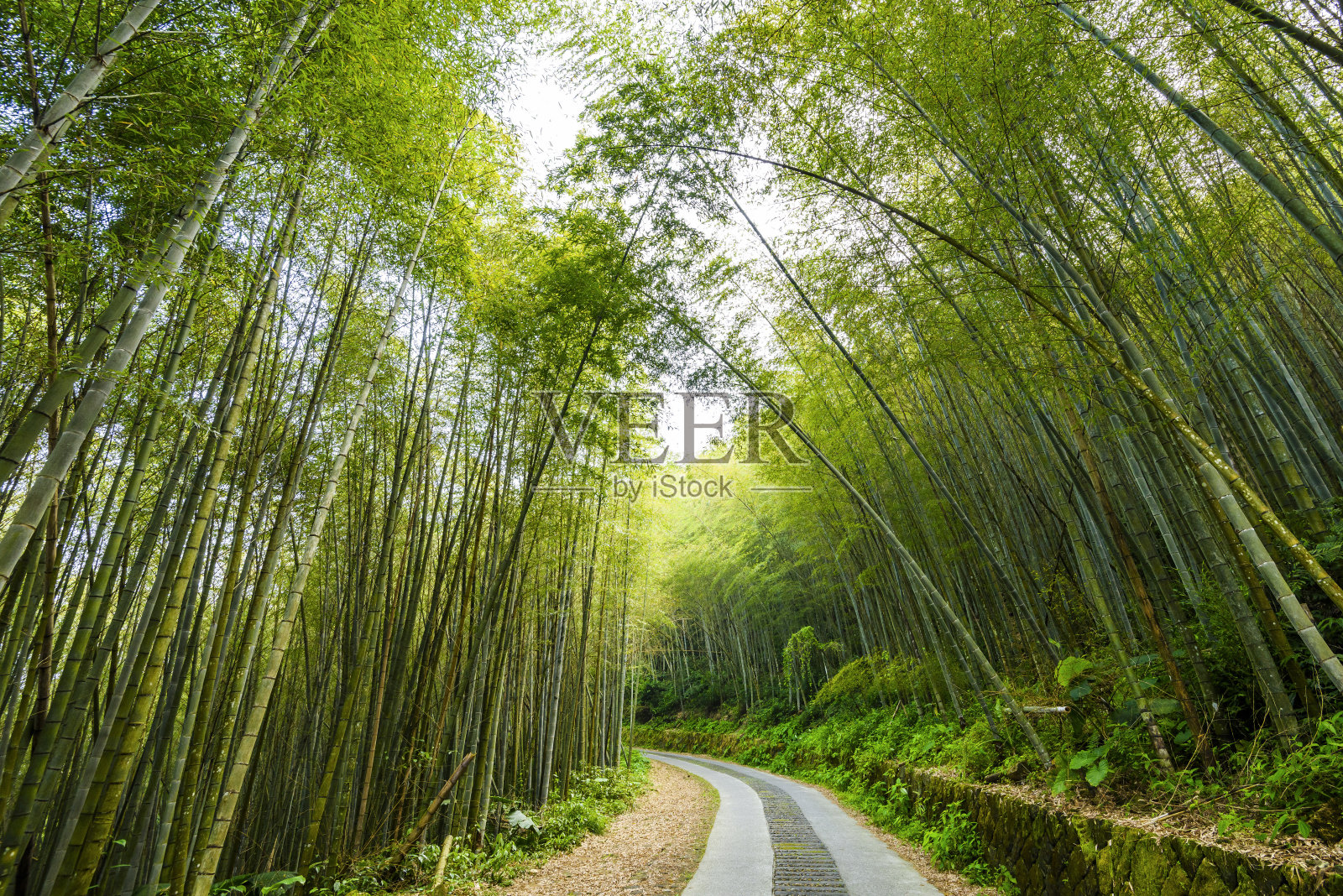 竹林之间的小路照片摄影图片